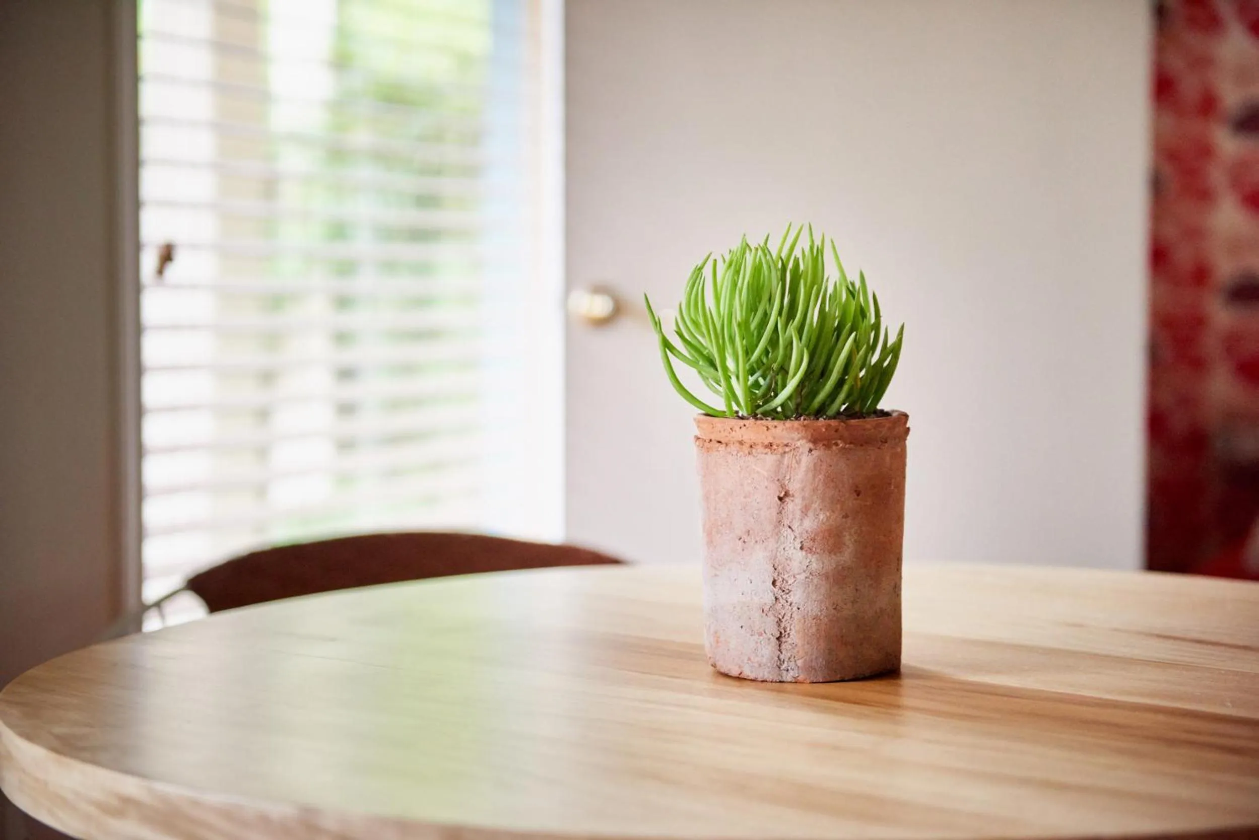 Seating area in Austin Motel