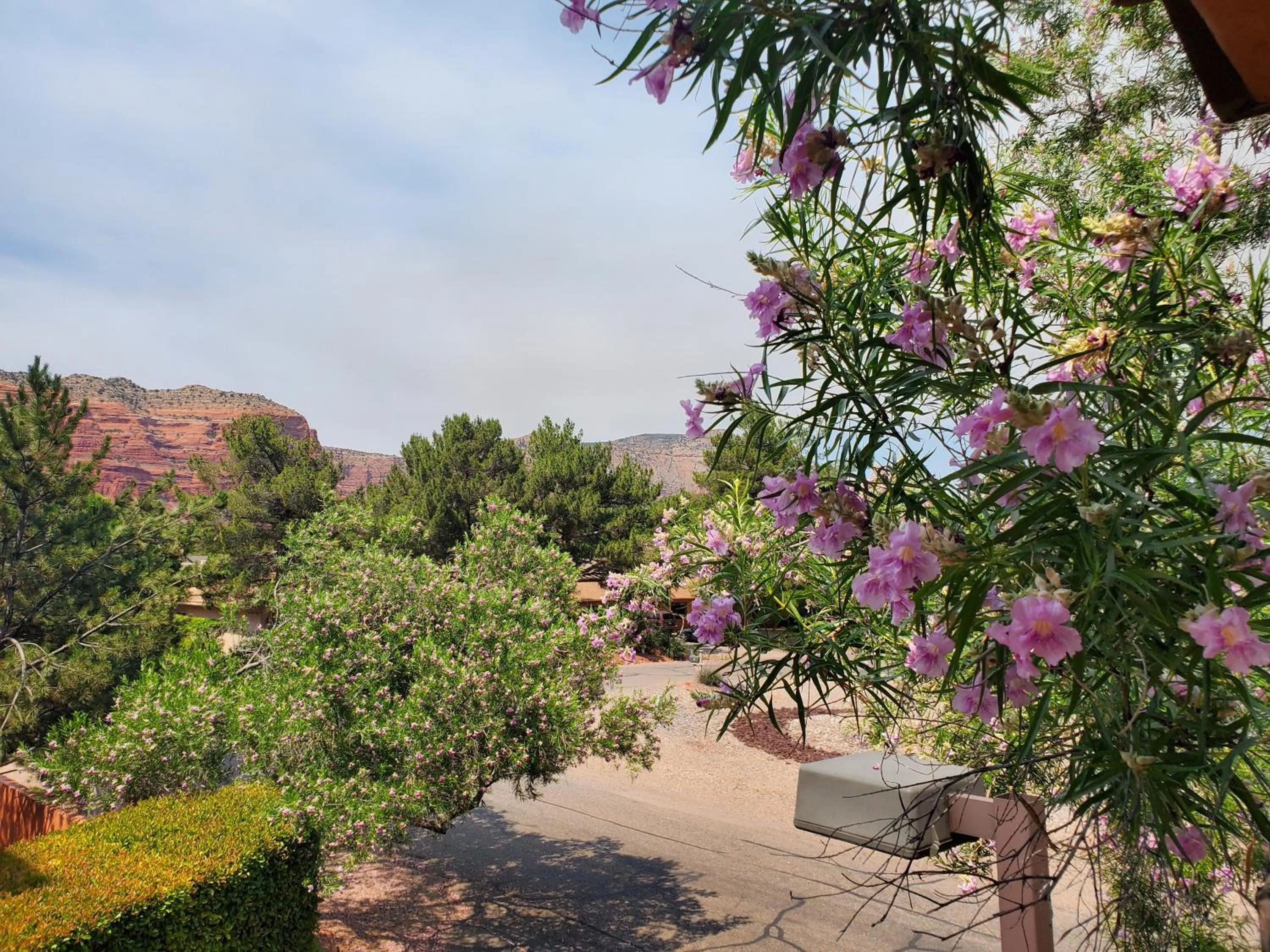 Natural landscape in Red Rock Luxury