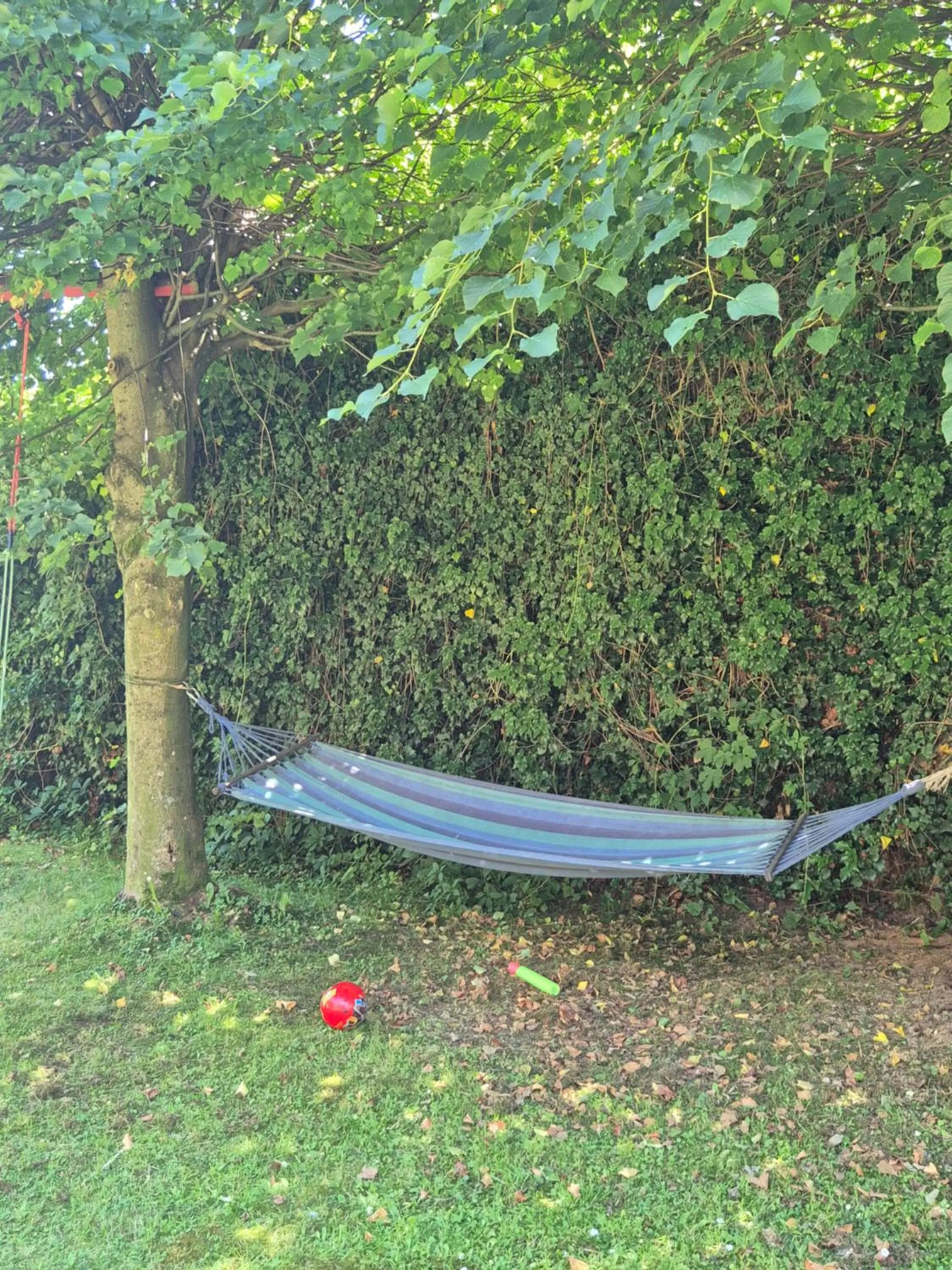 Garden in Na Pukańcu II