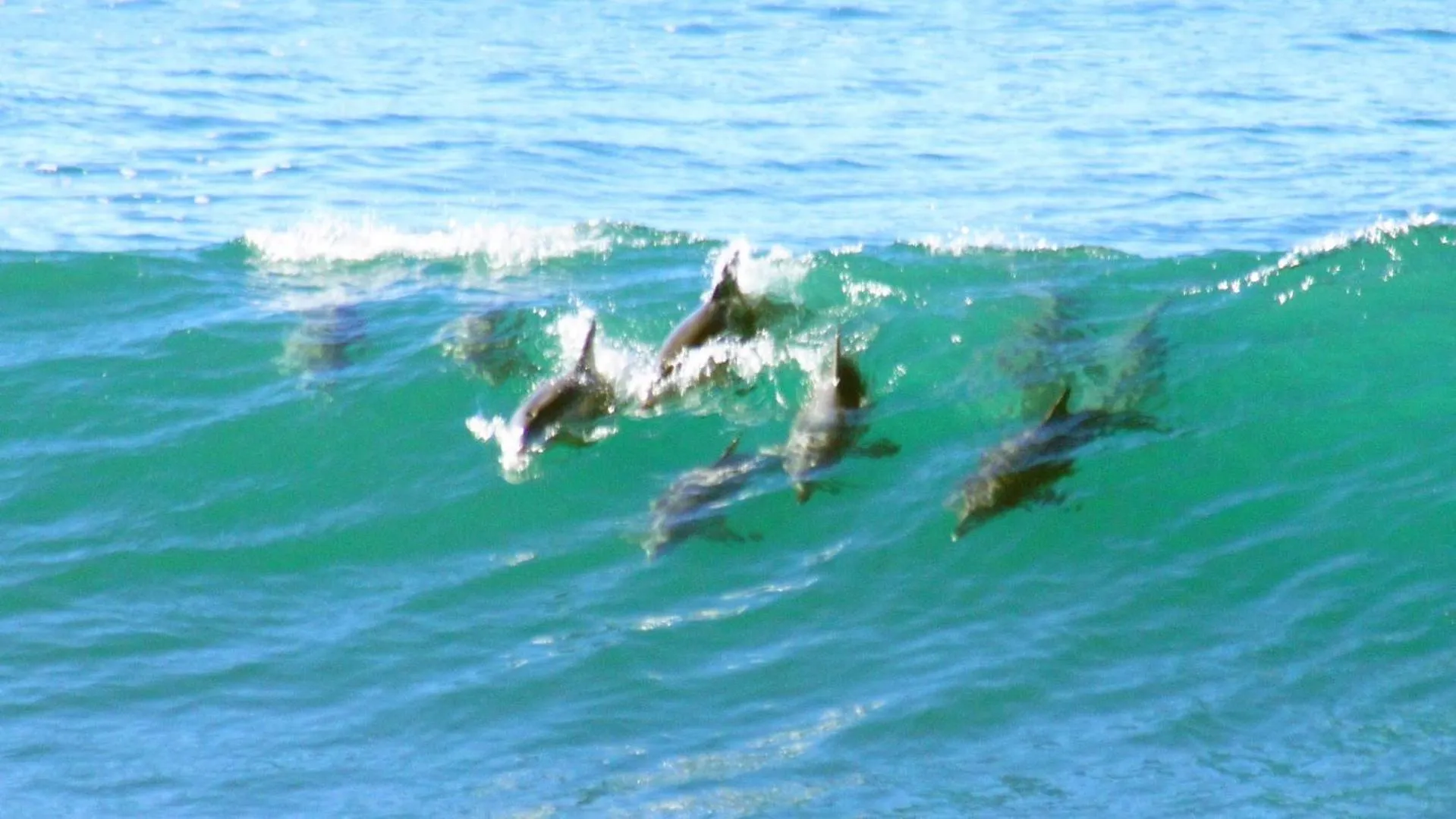 Sea view in Mollymook Beach Waterfront