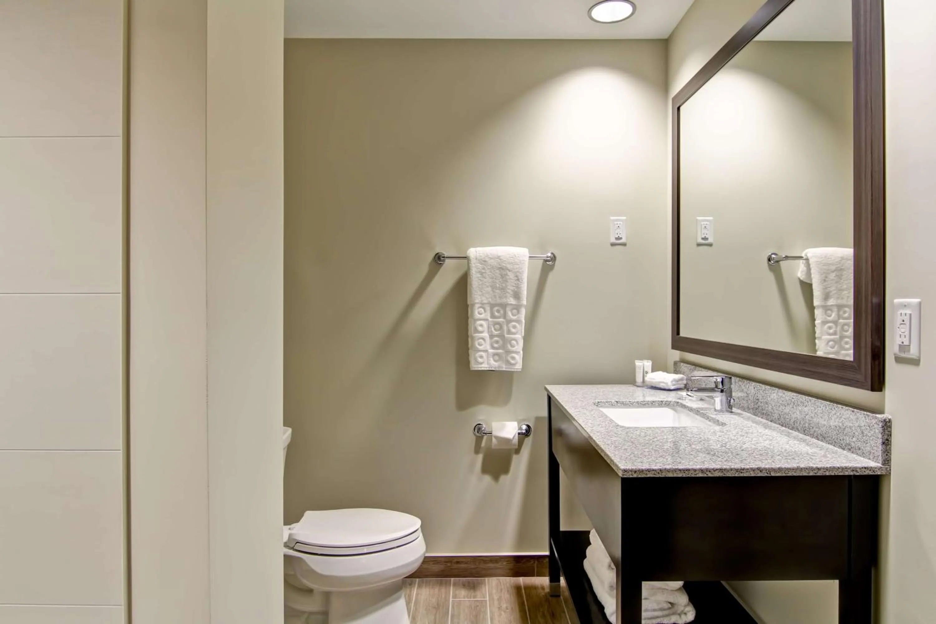 Bathroom in Best Western London Airport Inn & Suites