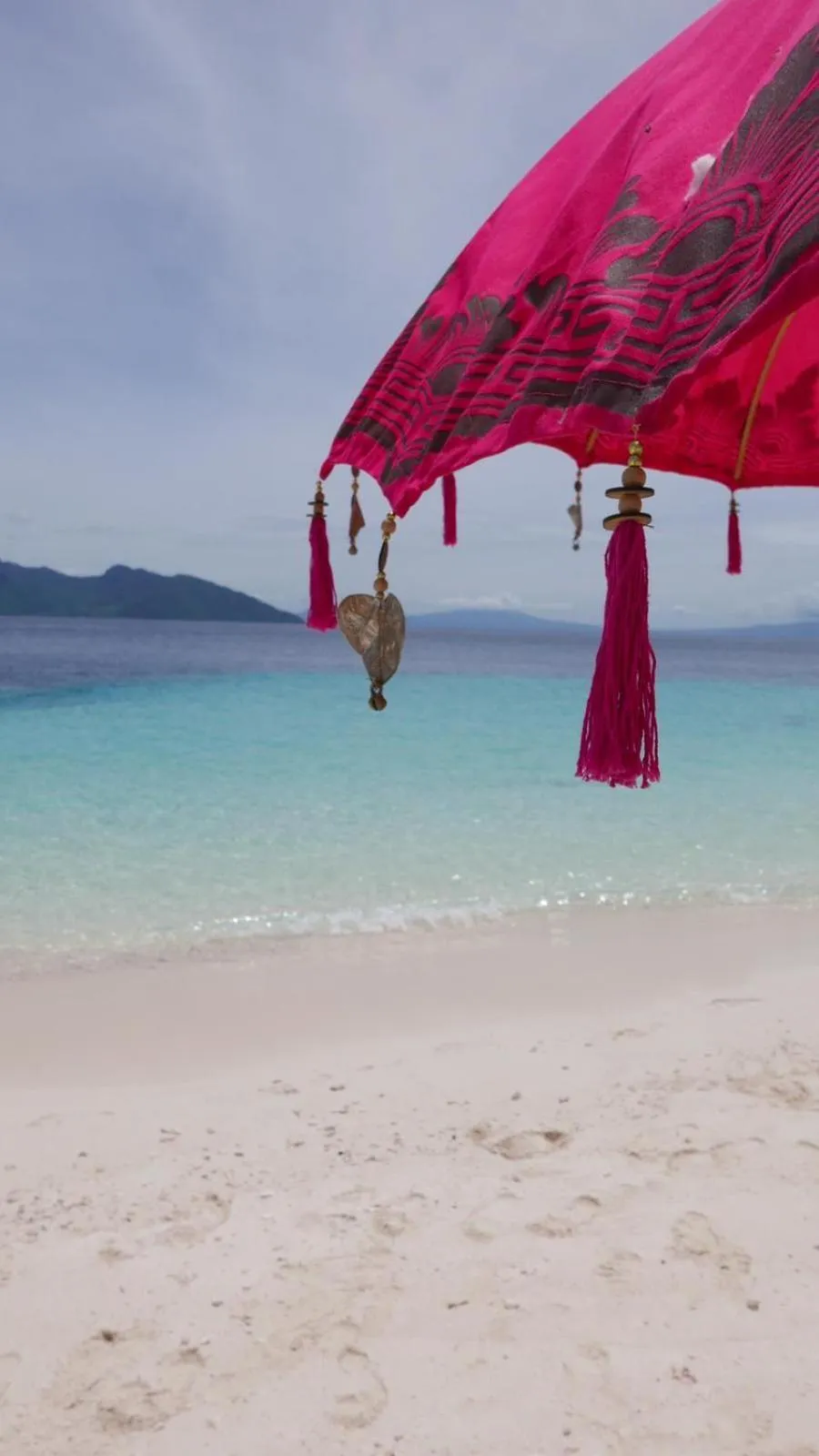 Eco dive resort Alycastre