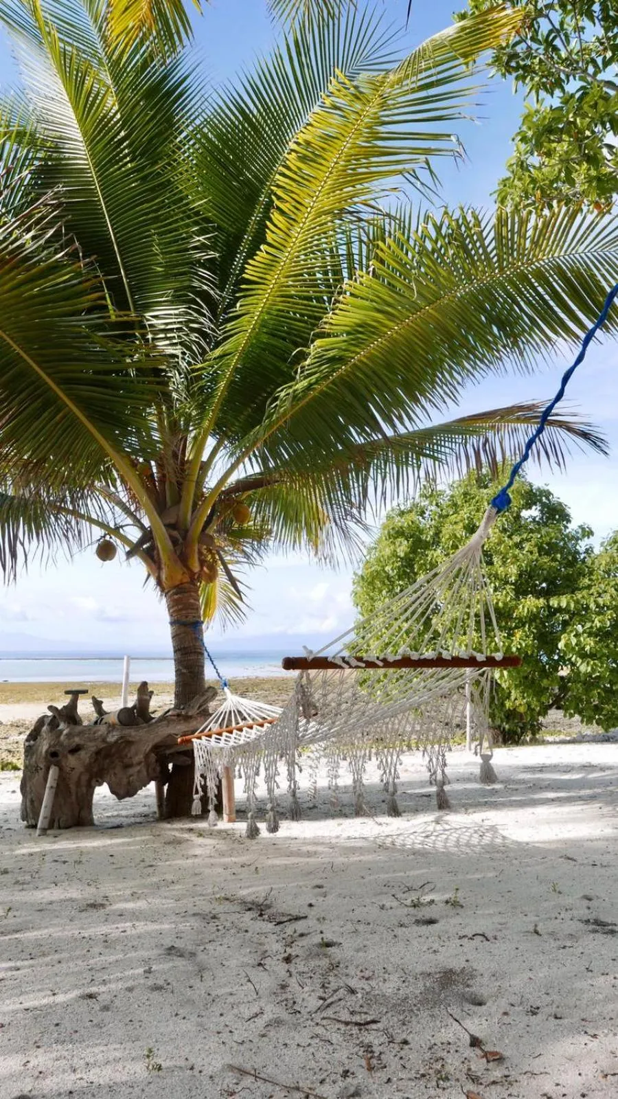 Eco dive resort Alycastre