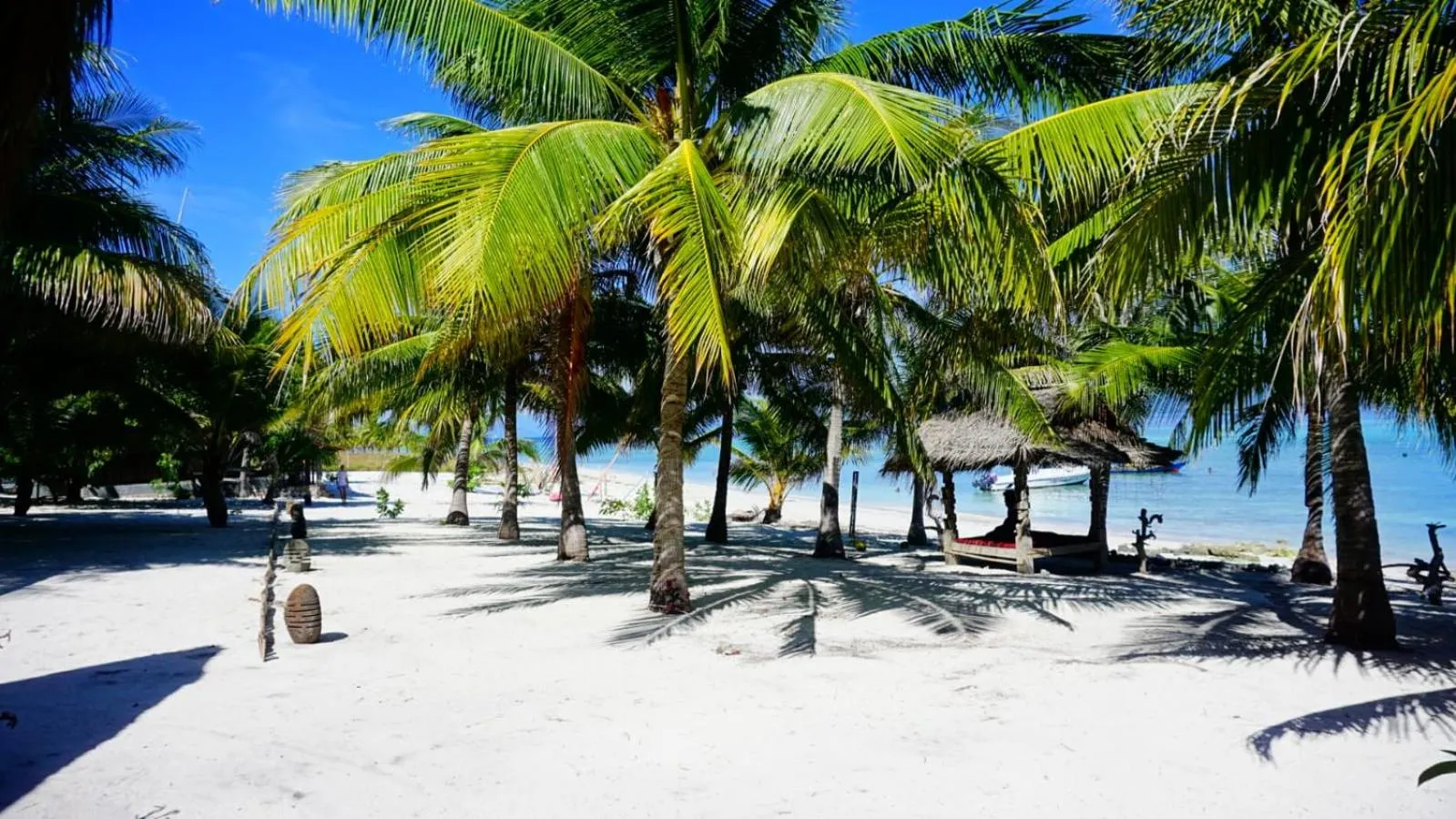 Eco dive resort Alycastre