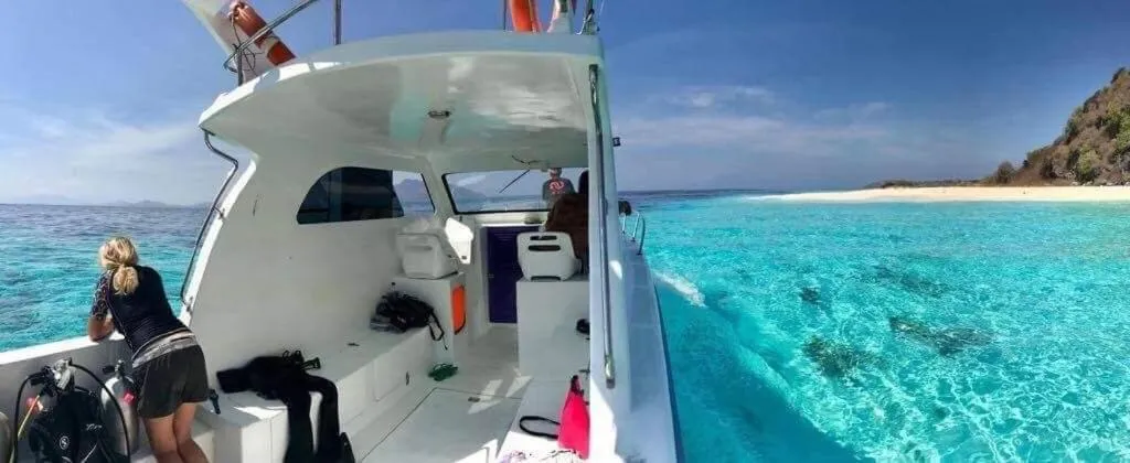 Eco dive resort Alycastre