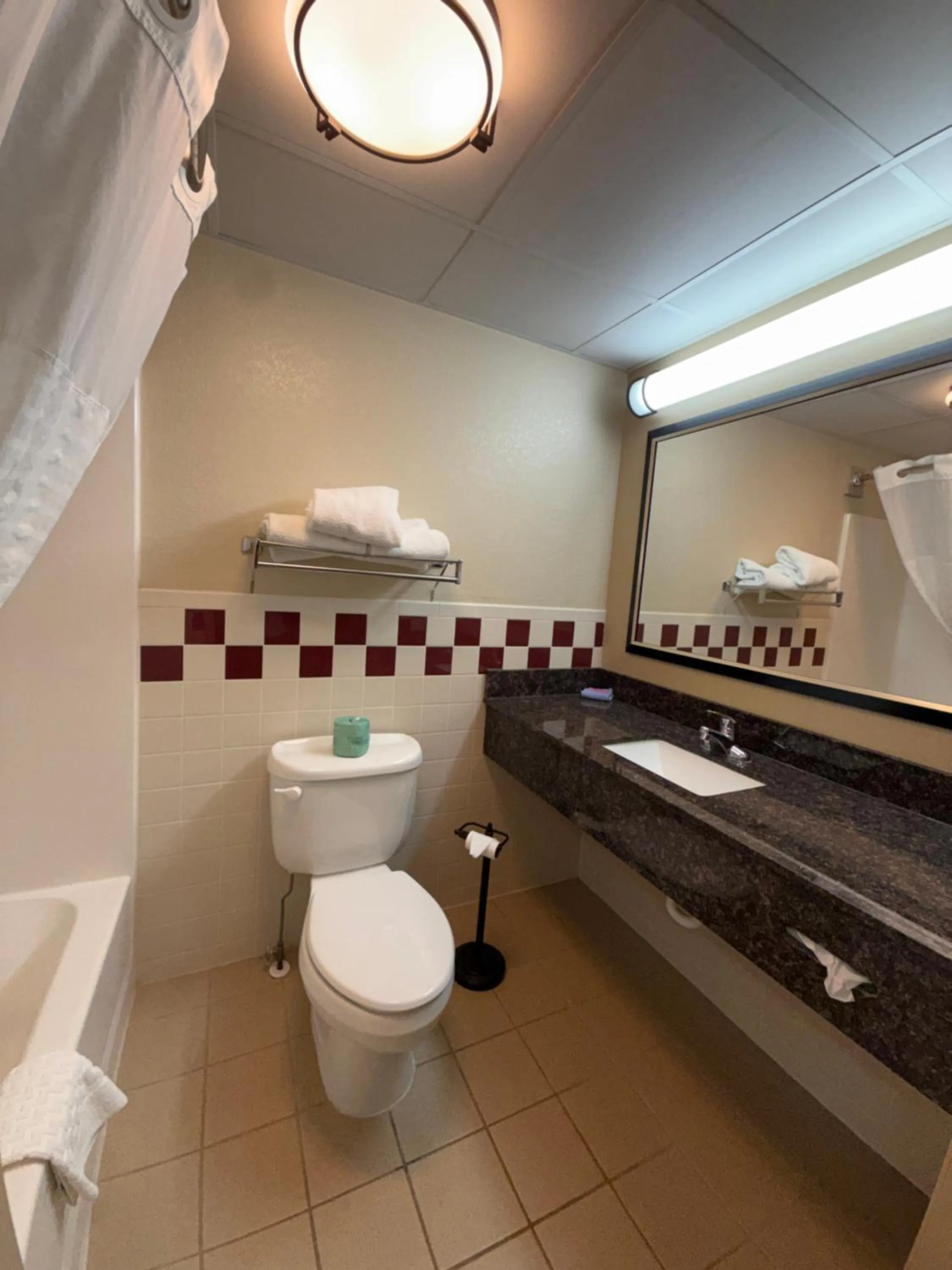 Toilet in Rodeway Inn Hesston