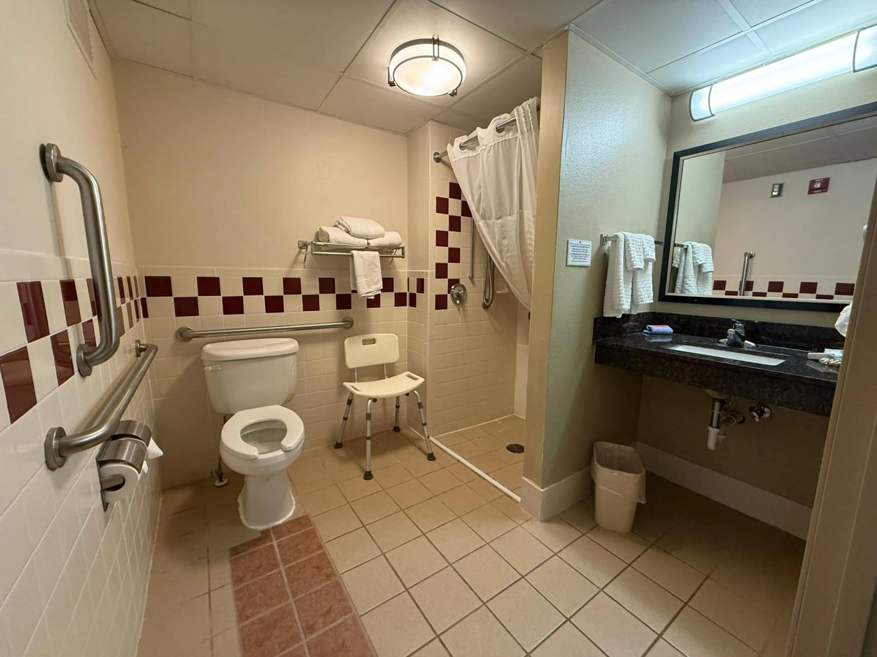 Bathroom in Rodeway Inn Hesston