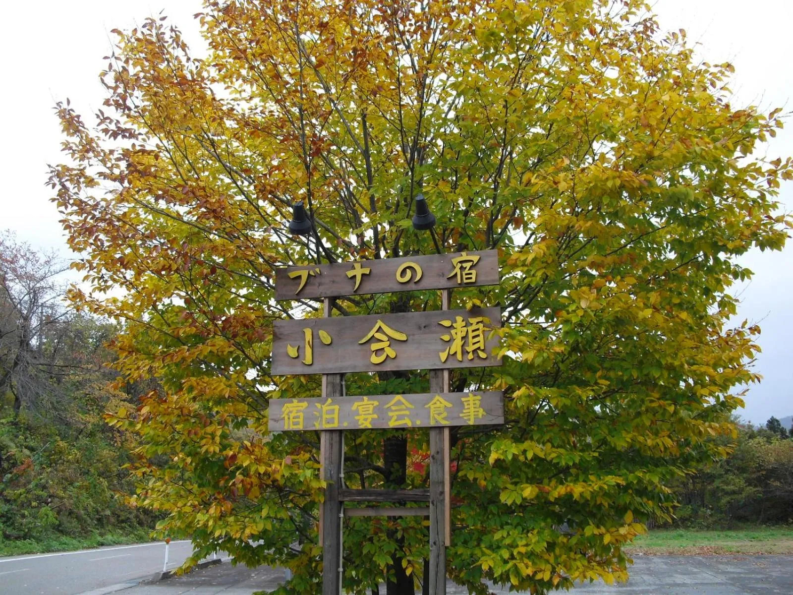 Logo/Certificate/Sign in Bunanoyado Koase