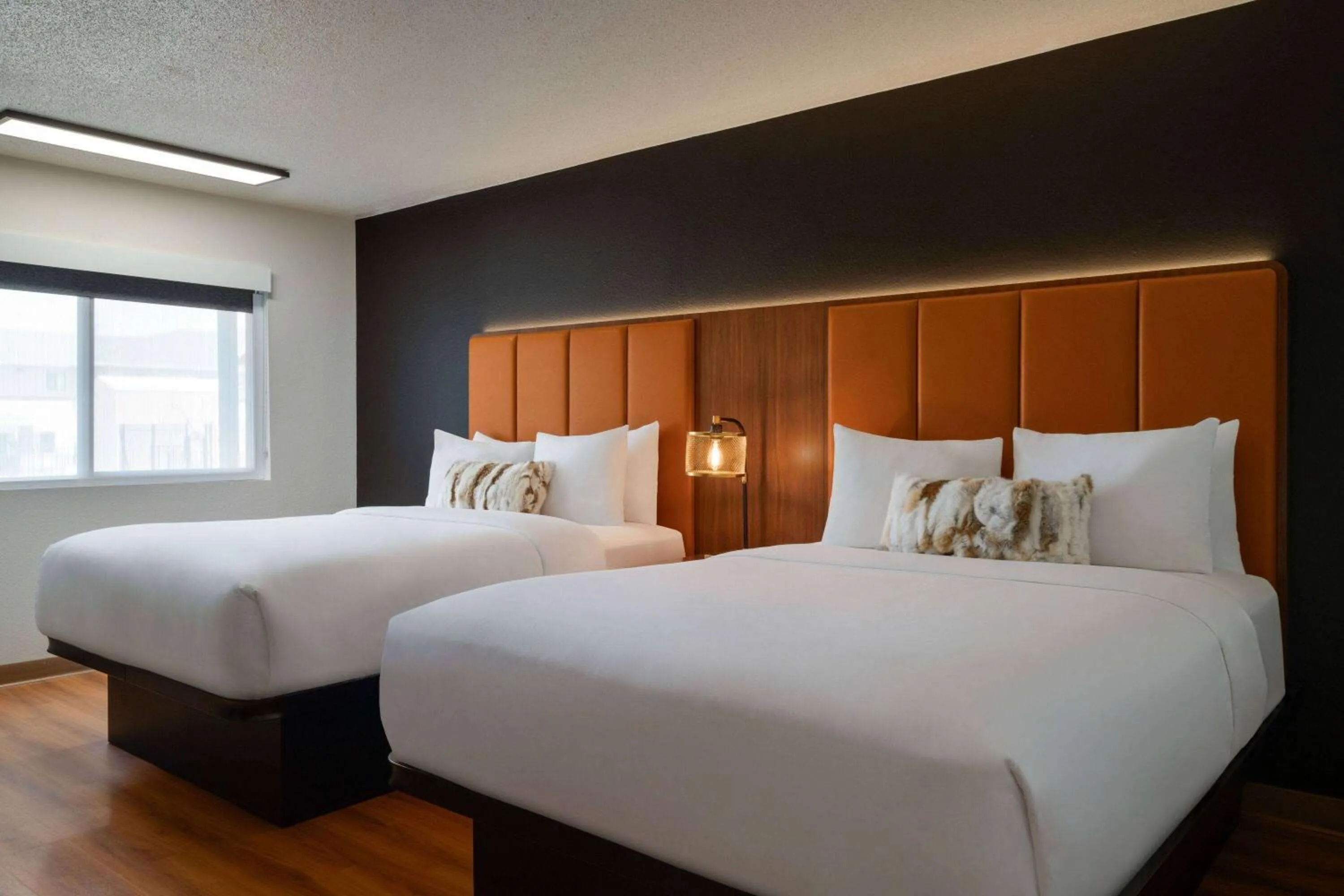 Photo of the whole room, Bed in Travelodge by Wyndham Wall