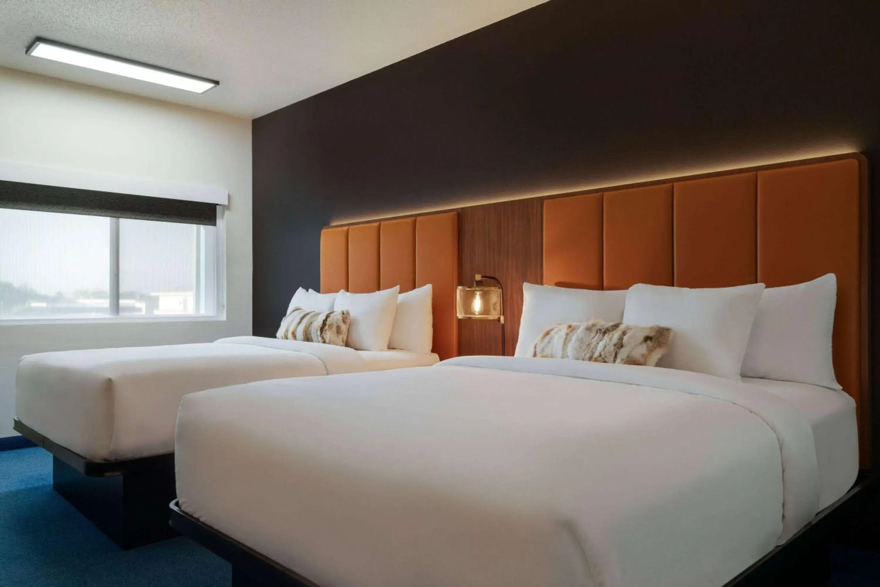 Photo of the whole room, Bed in Travelodge by Wyndham Wall Photo of the whole room, Bed in Travelodge by Wyndham Wall