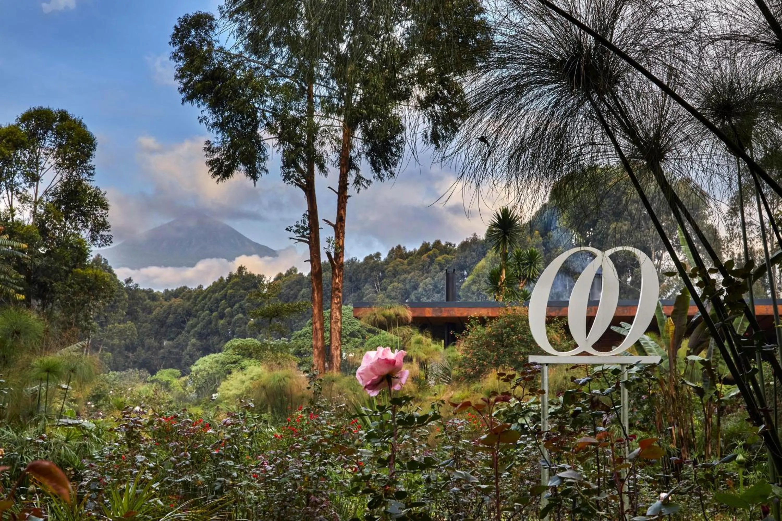 Garden in One&Only Gorilla's Nest