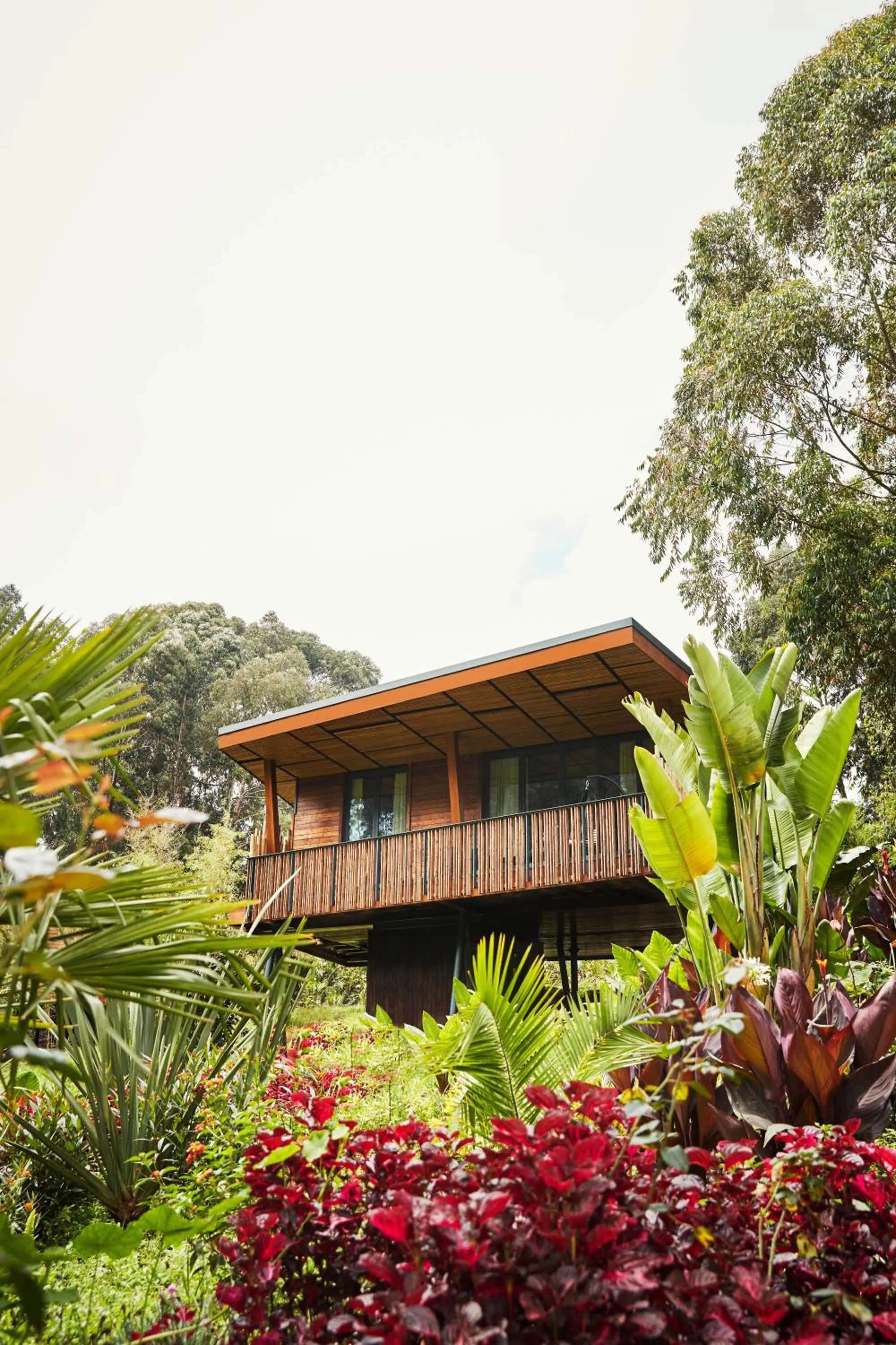 Property building in One&Only Gorilla's Nest