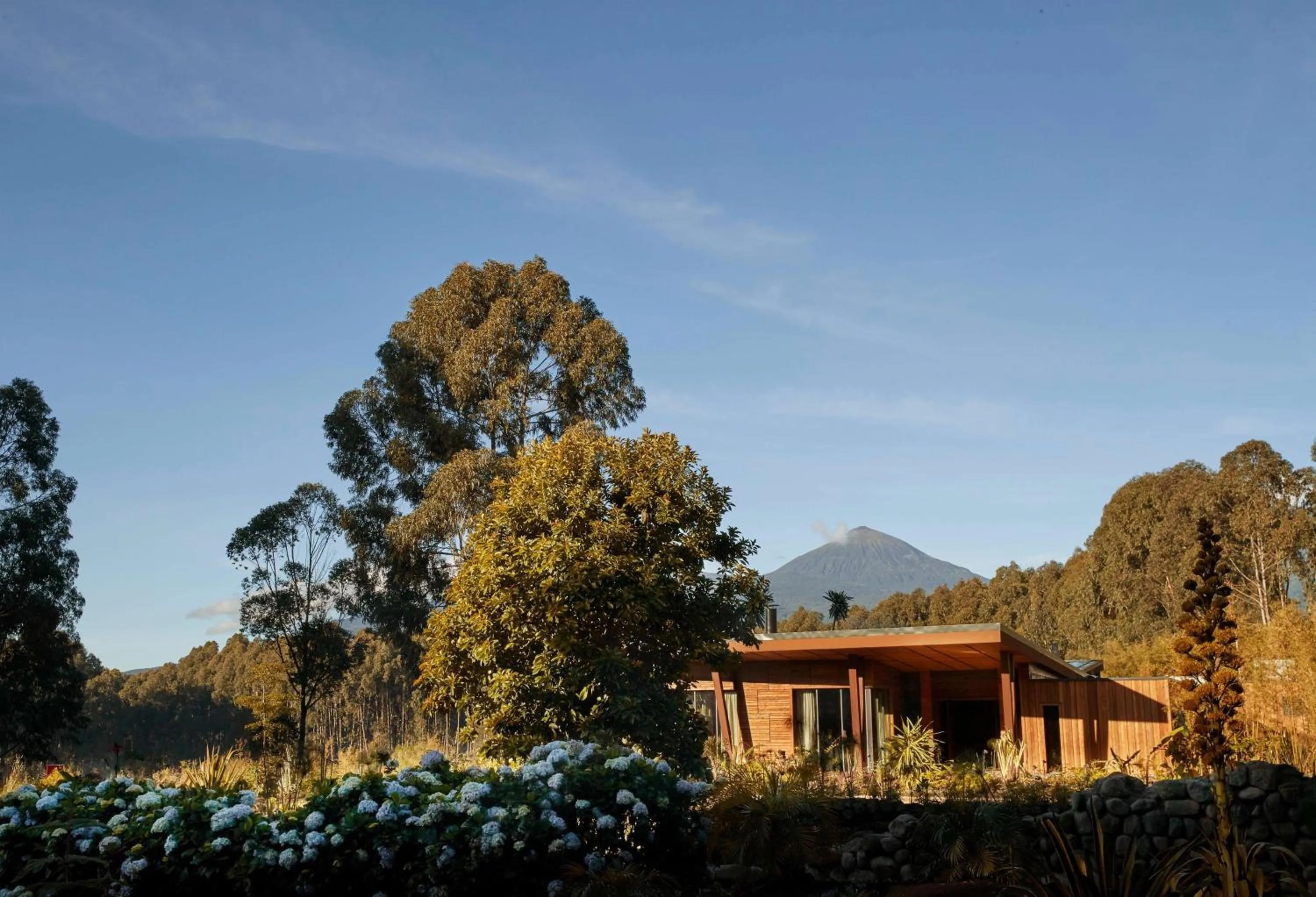 Property building in One&Only Gorilla's Nest