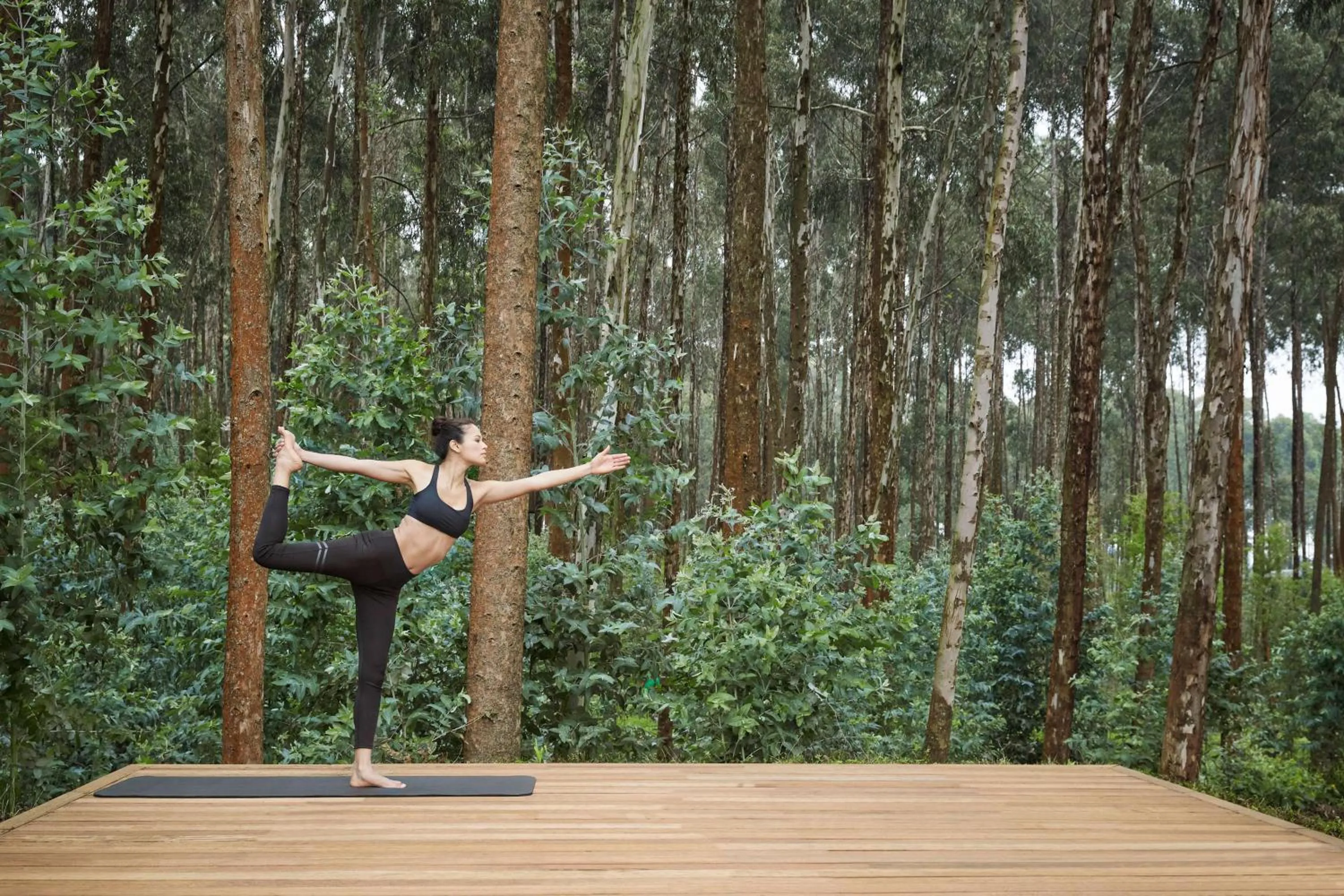 Fitness centre/facilities in One&Only Gorilla's Nest