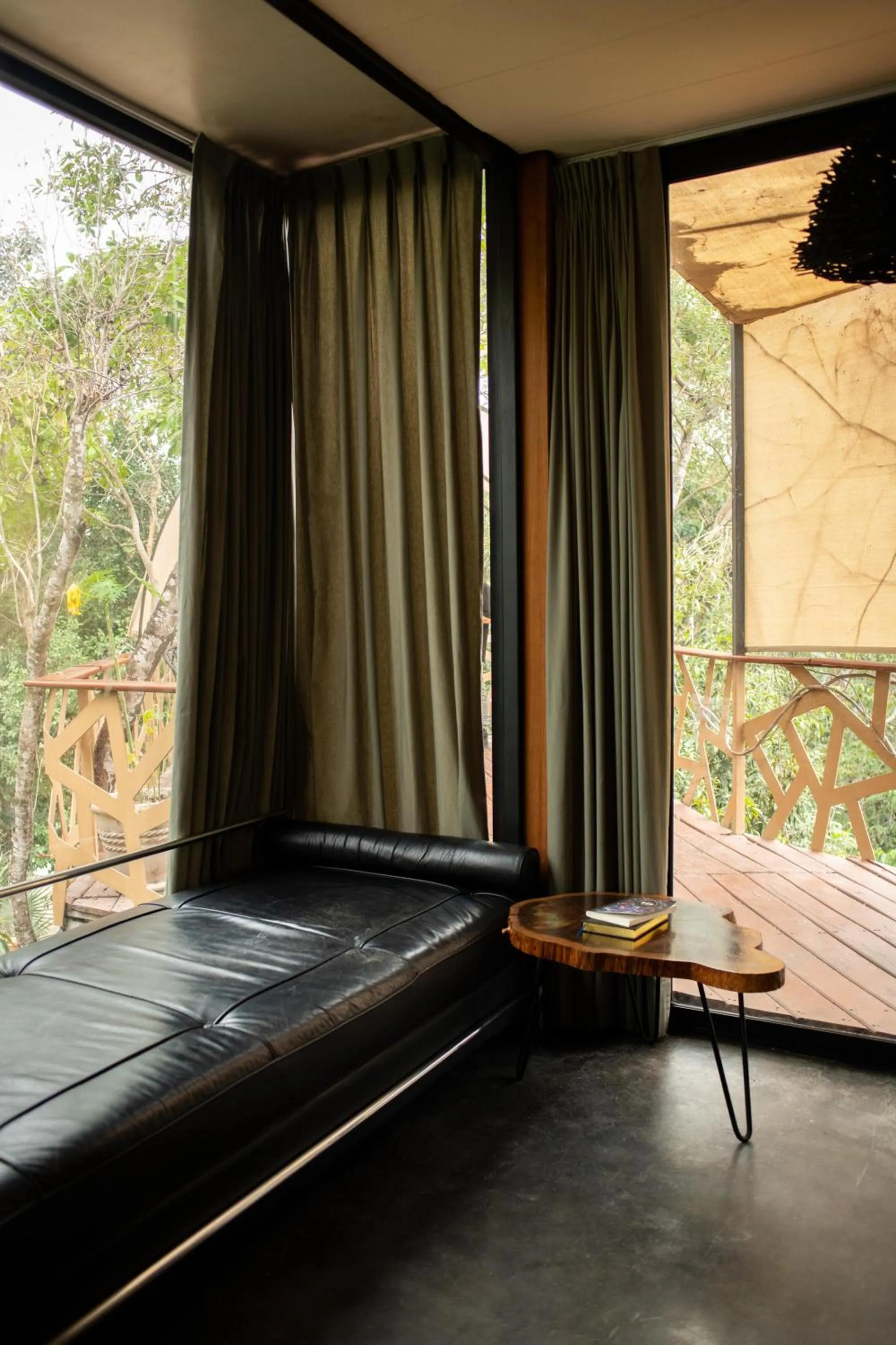 Bed in Bufo Alvarius