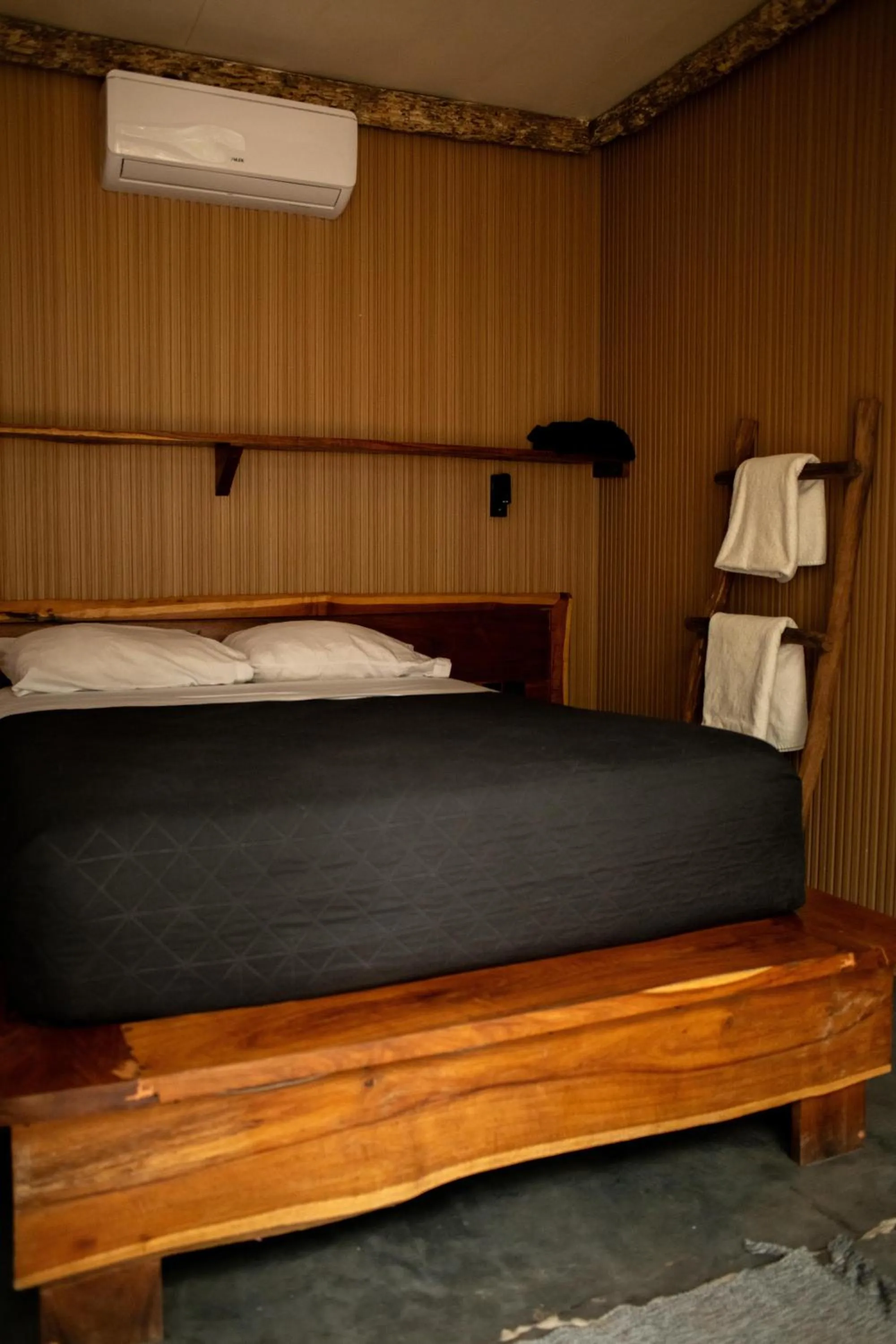 Bed in Bufo Alvarius