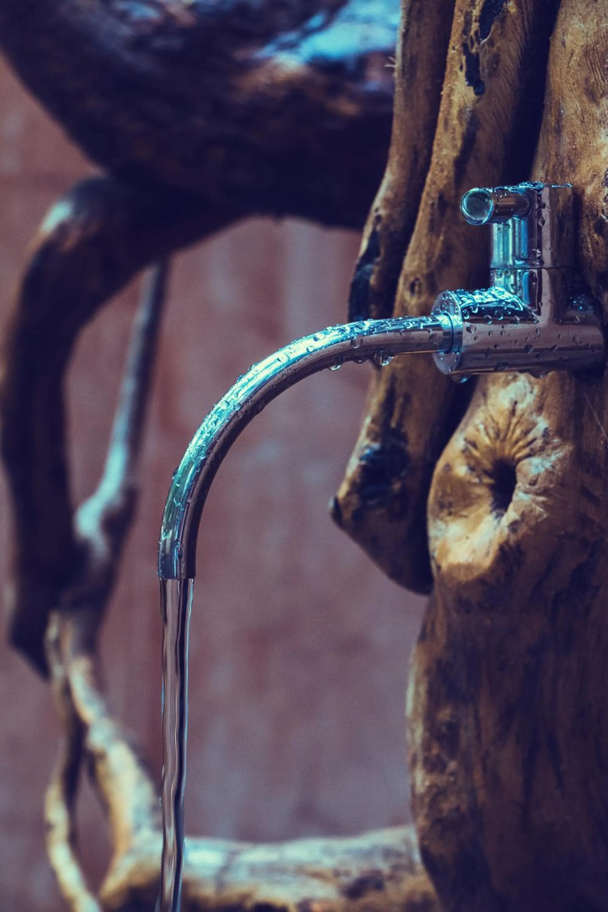 Bathroom in Bufo Alvarius