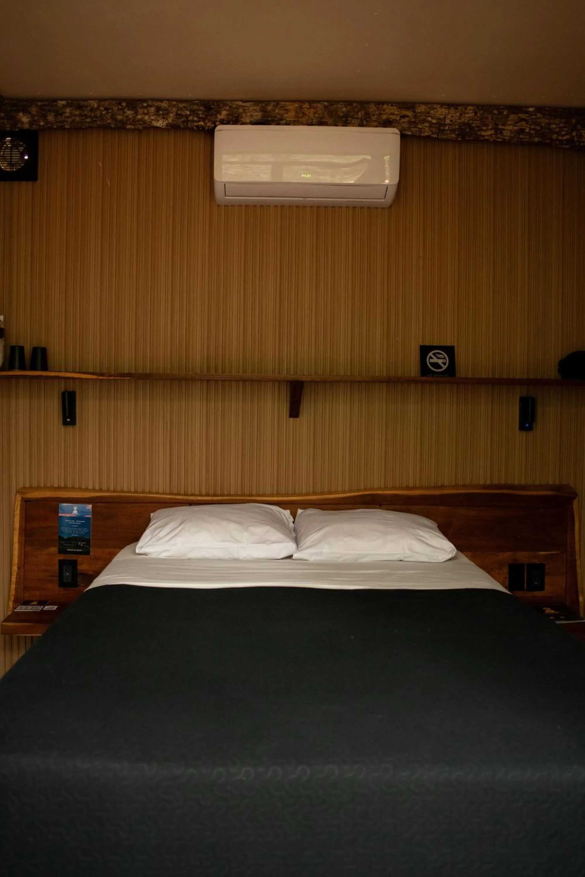 Bed in Bufo Alvarius