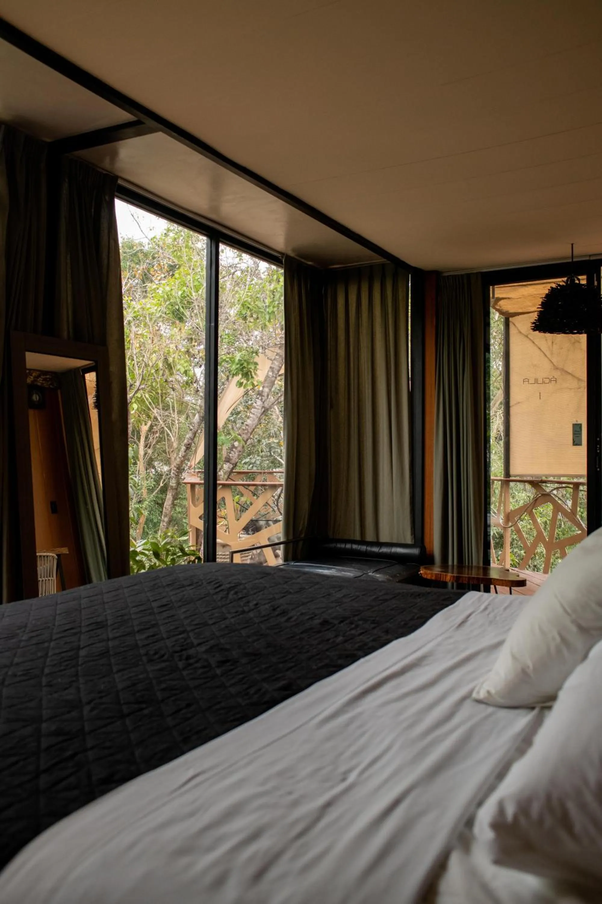 Bed in Bufo Alvarius