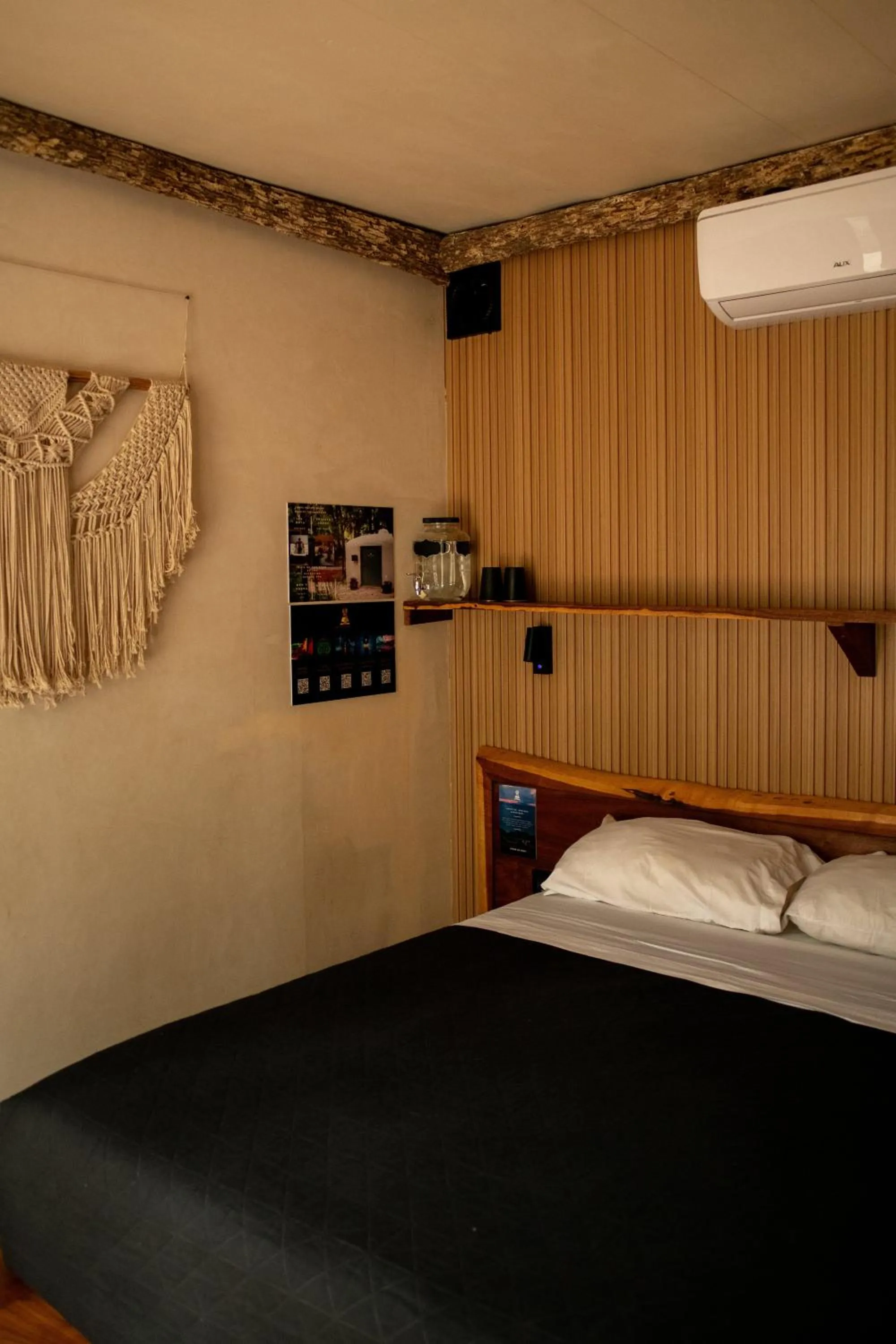 Bed in Bufo Alvarius