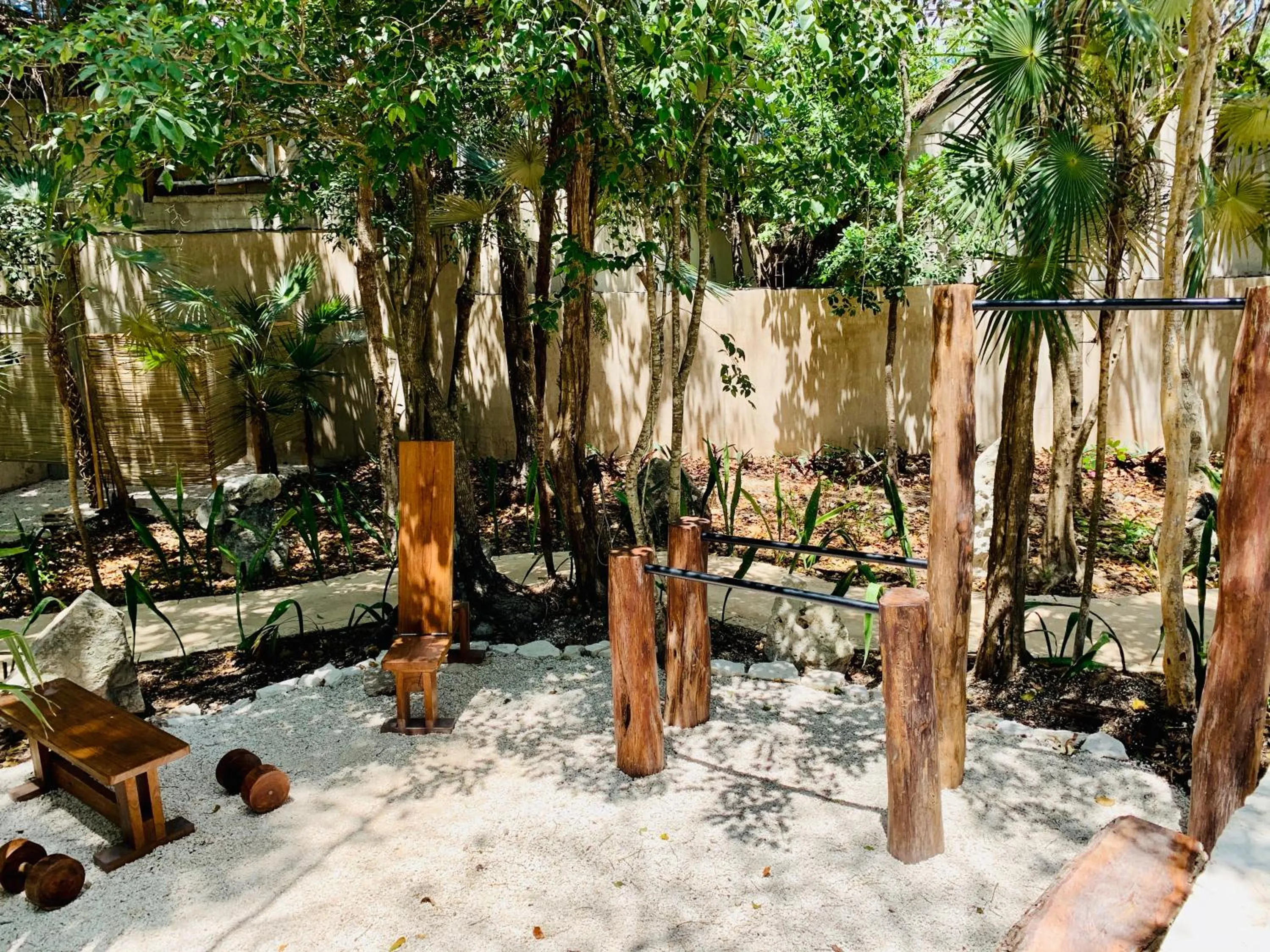 Fitness centre/facilities in Bufo Alvarius