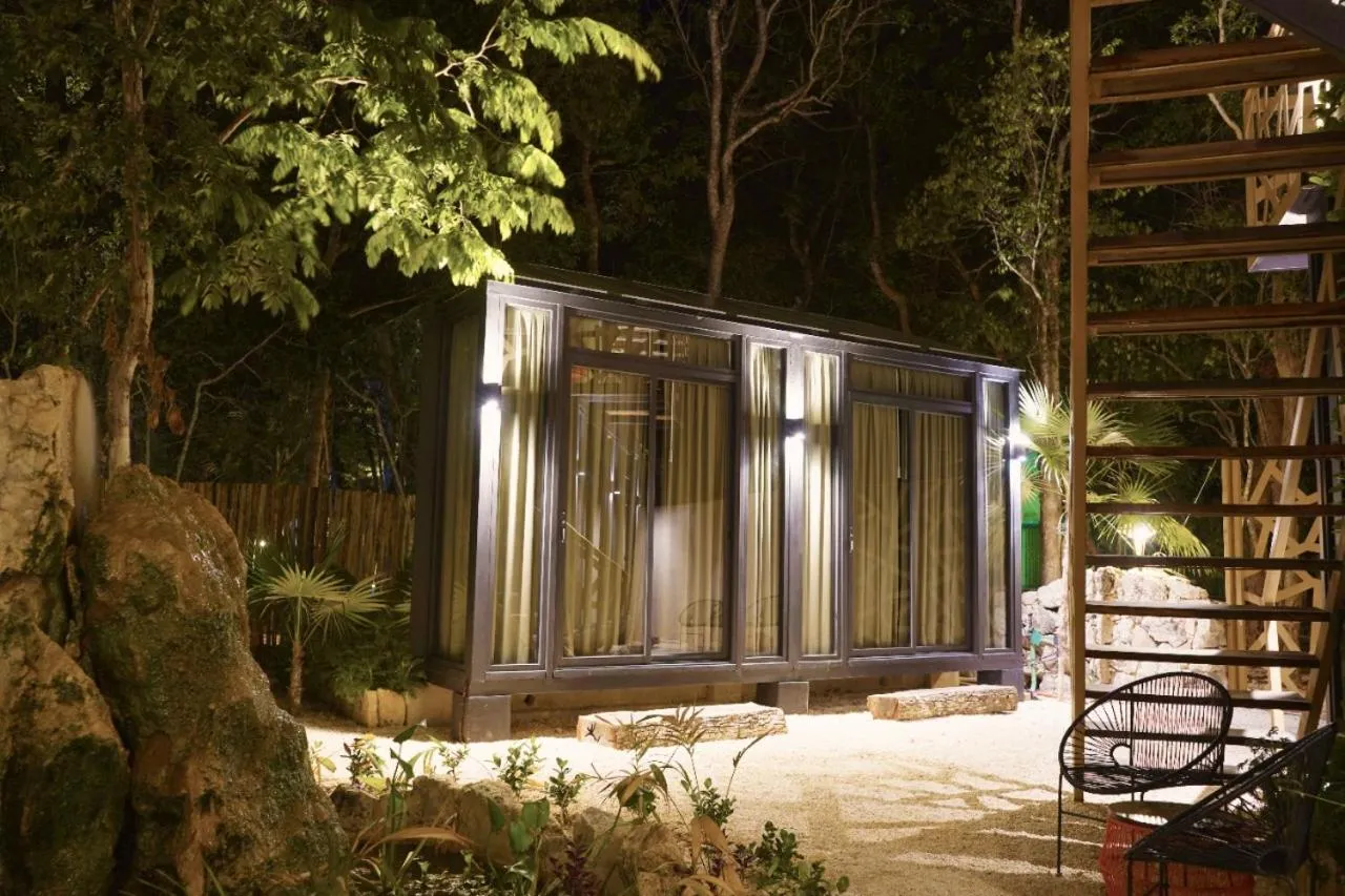 Property building in Bufo Alvarius