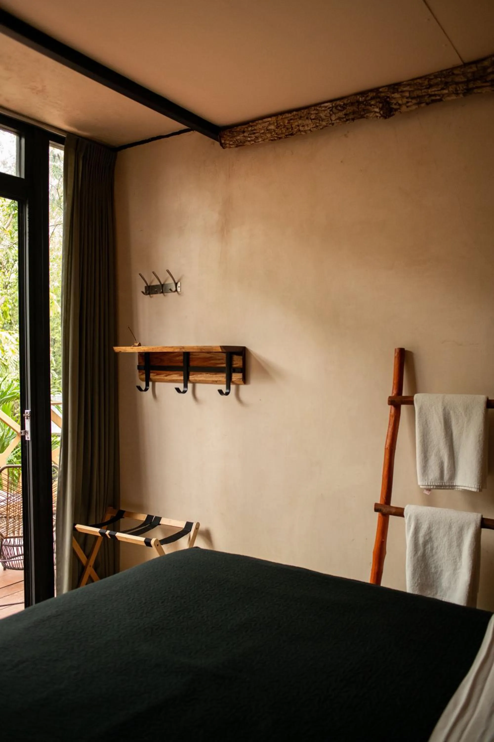 Bed in Bufo Alvarius