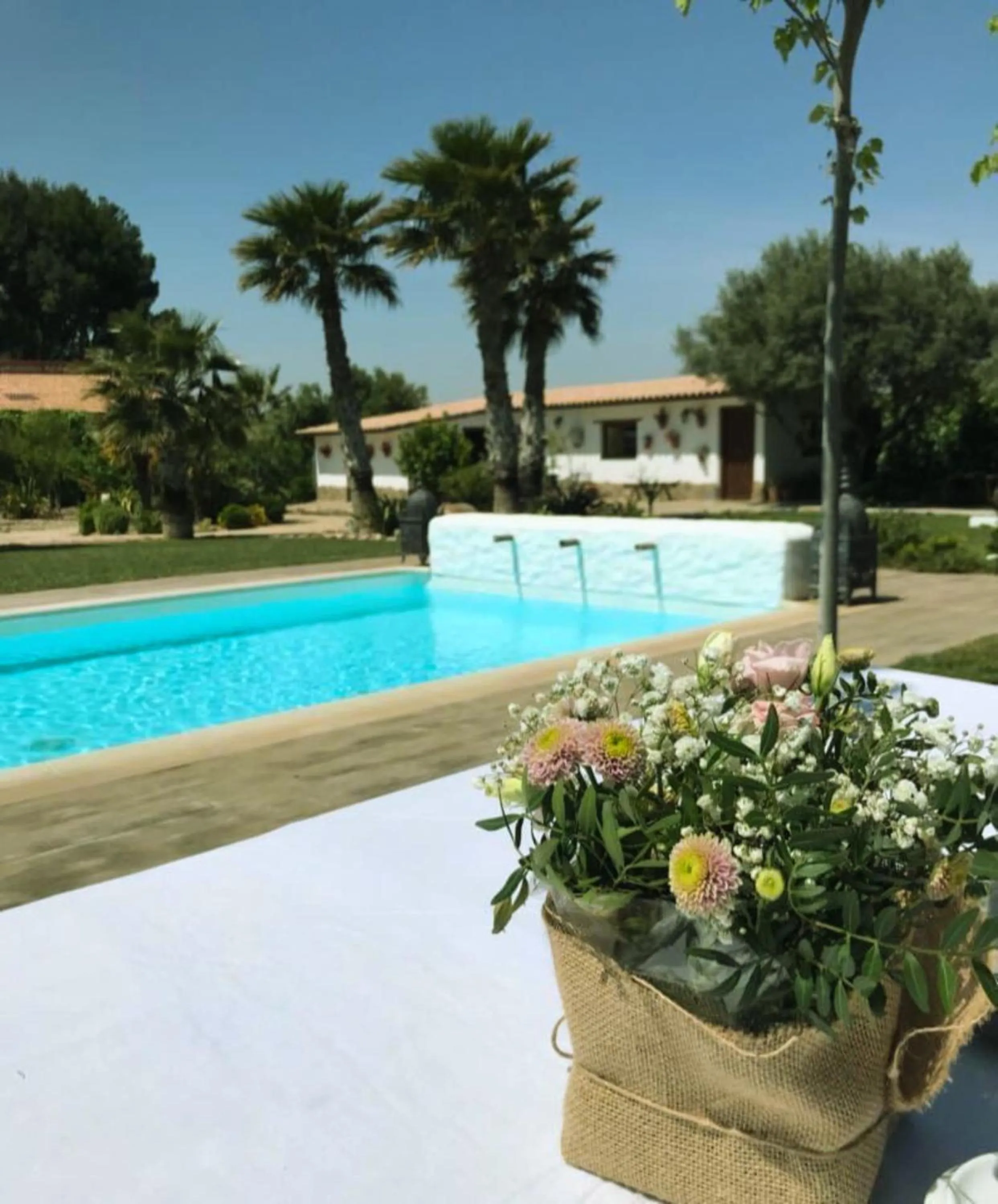 Swimming pool in Finca Almenara de Copau