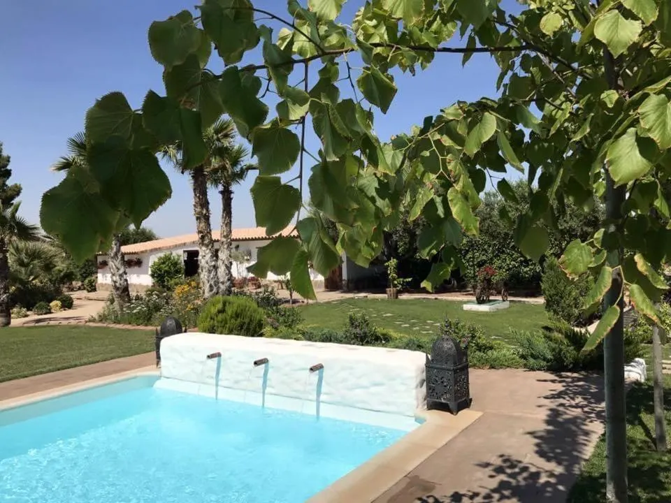 Swimming pool in Finca Almenara de Copau