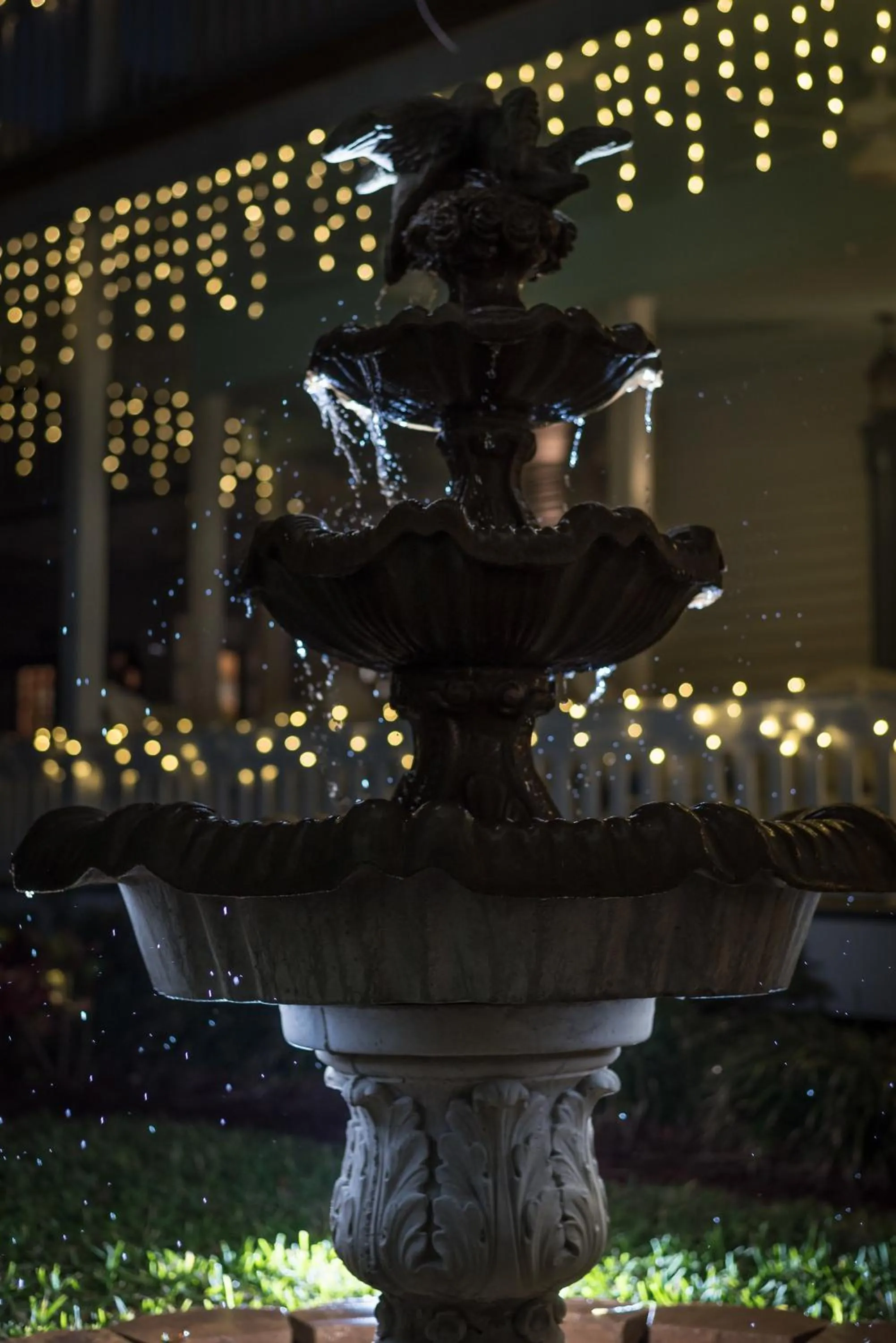 On site in Bayfront Westcott House Bed & Breakfast