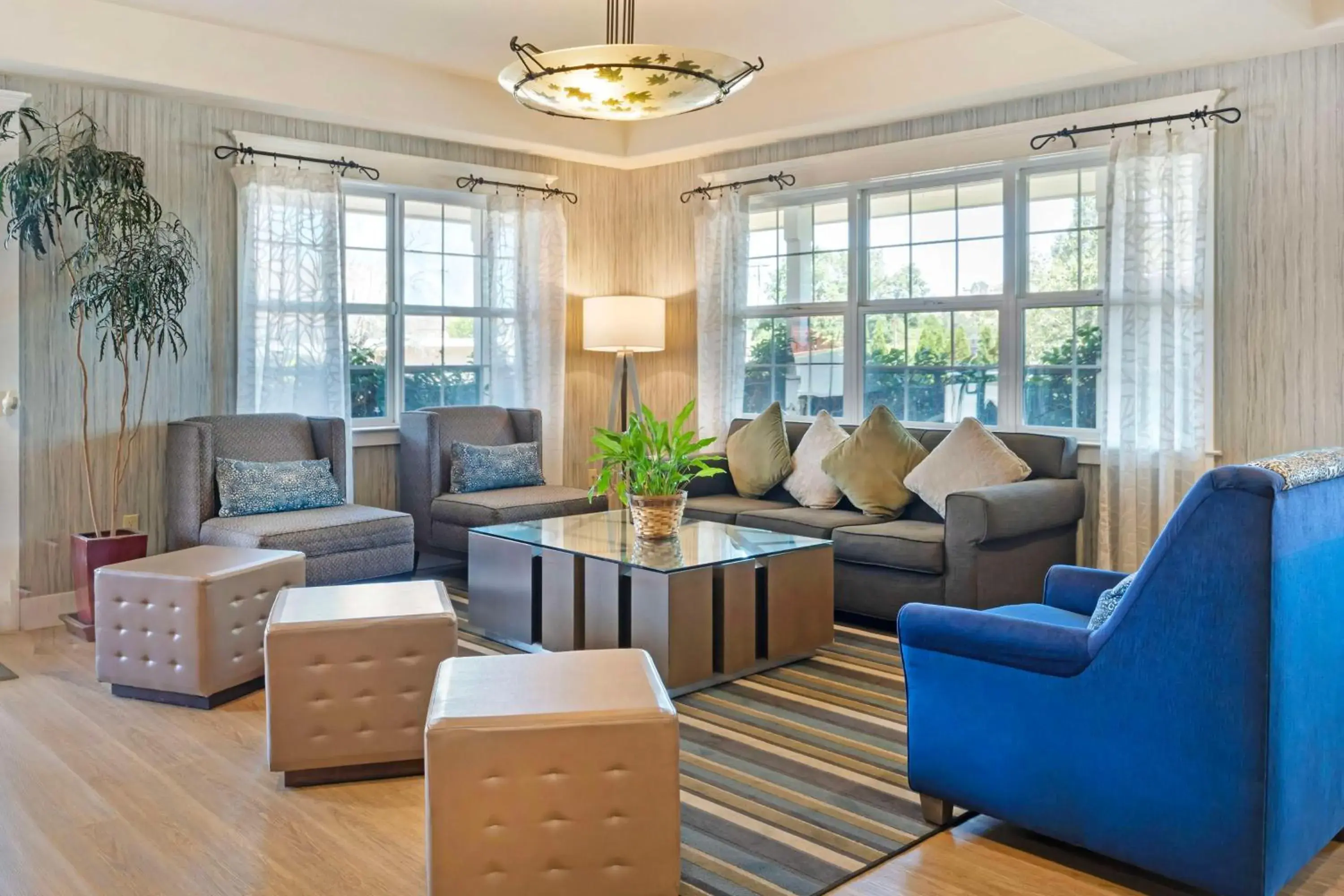 Lobby or reception in Best Western Cedar Inn & Suites Lobby or reception in Best Western Cedar Inn & Suites