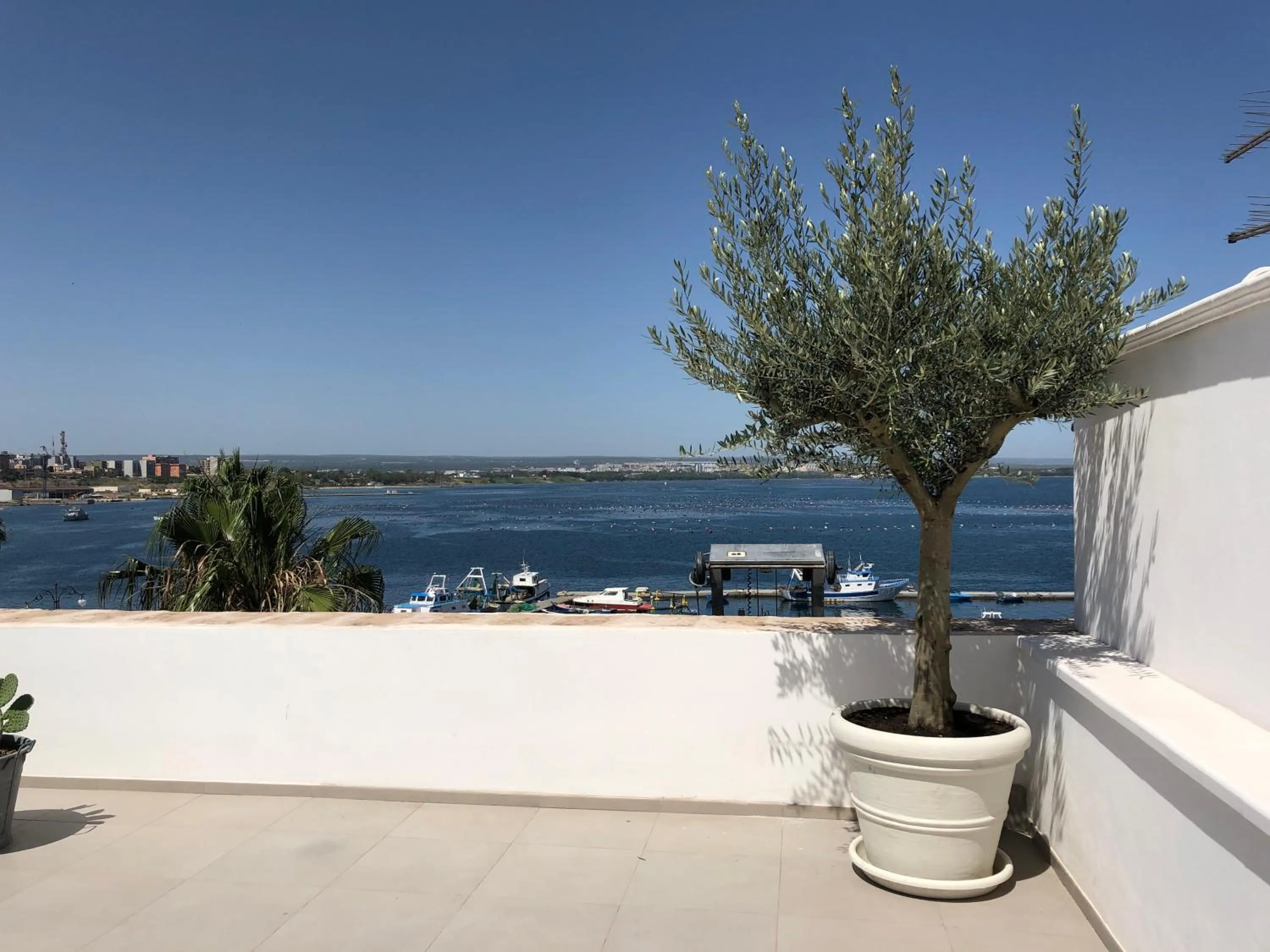 Balcony/Terrace in Don Alfredo