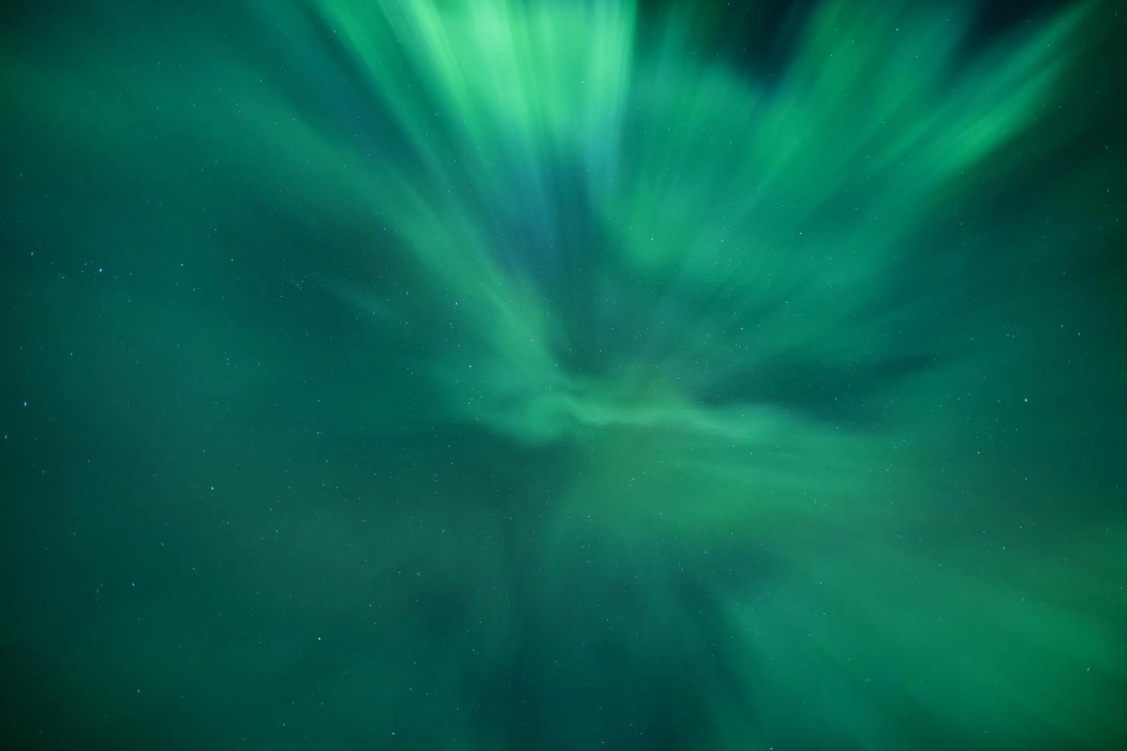 View (from property/room) in Villa Happy Fox