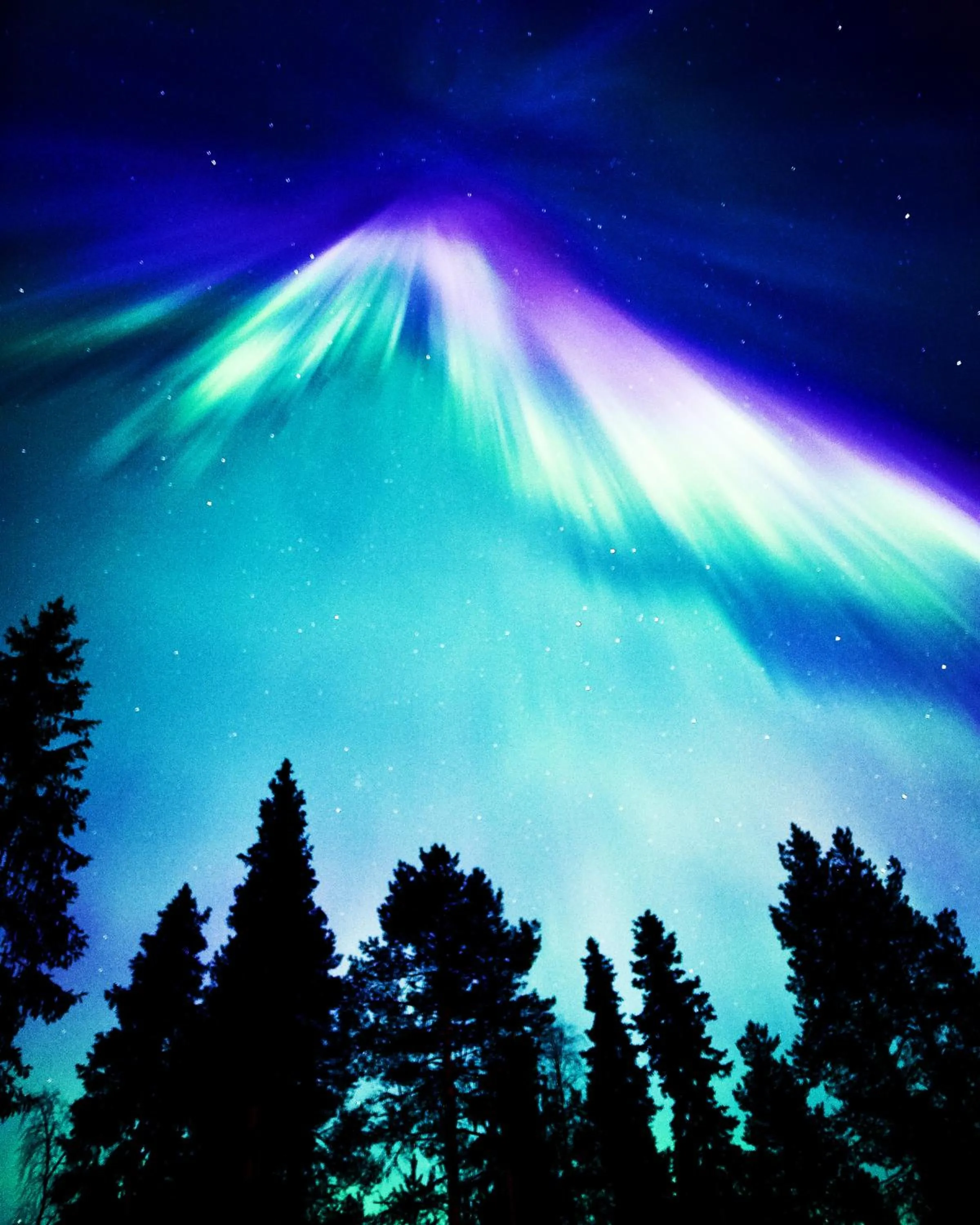 View (from property/room) in Villa Happy Fox