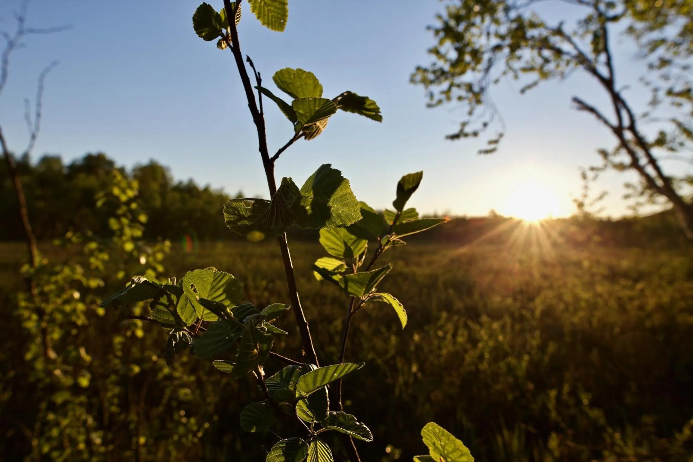 Natural landscape in Villa Happy Fox