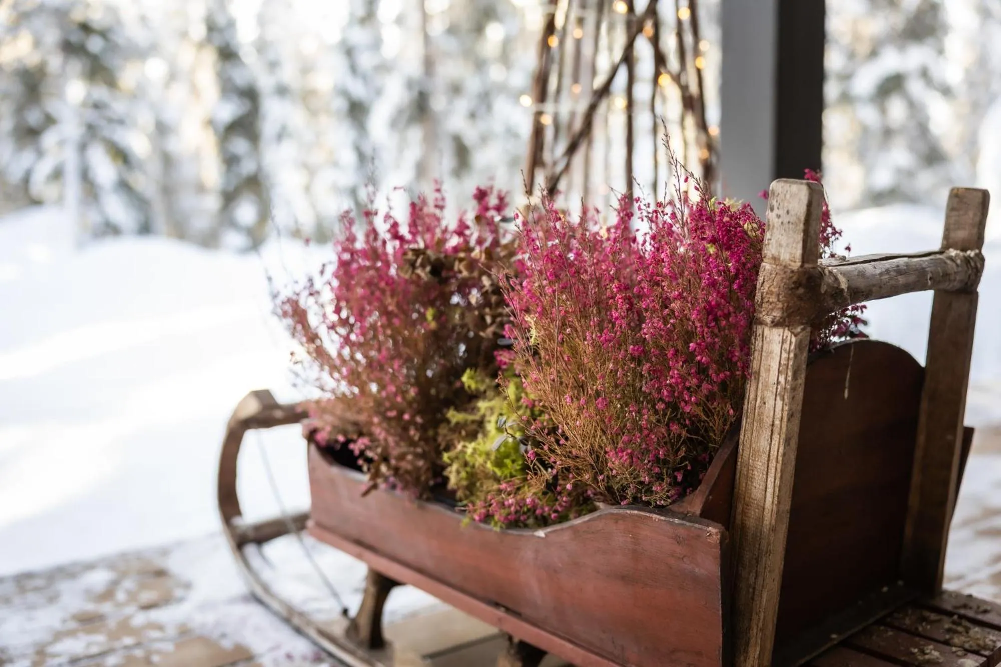 Facade/entrance in Villa Happy Fox