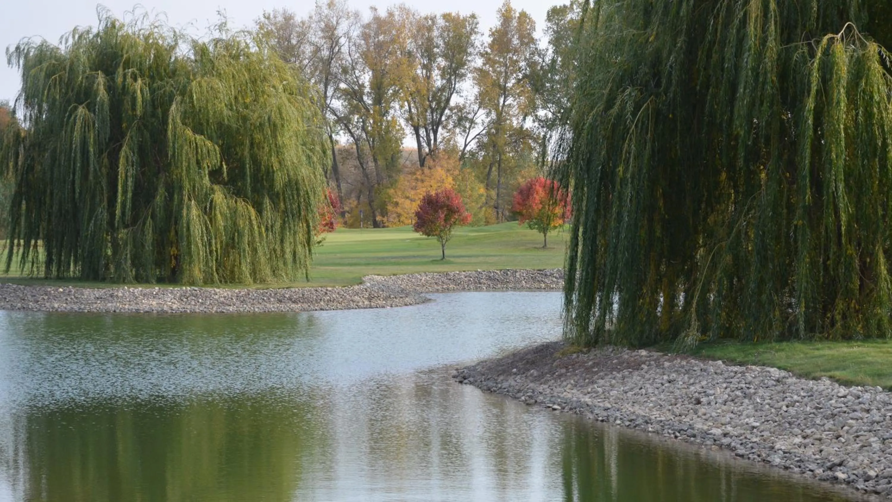 Boarders Inn and Suites by Cobblestone Hotels - Fayette