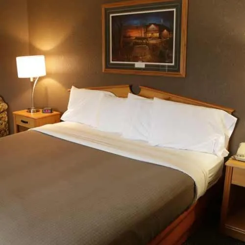 Bedroom in Boarders Inn and Suites by Cobblestone Hotels - Fayette