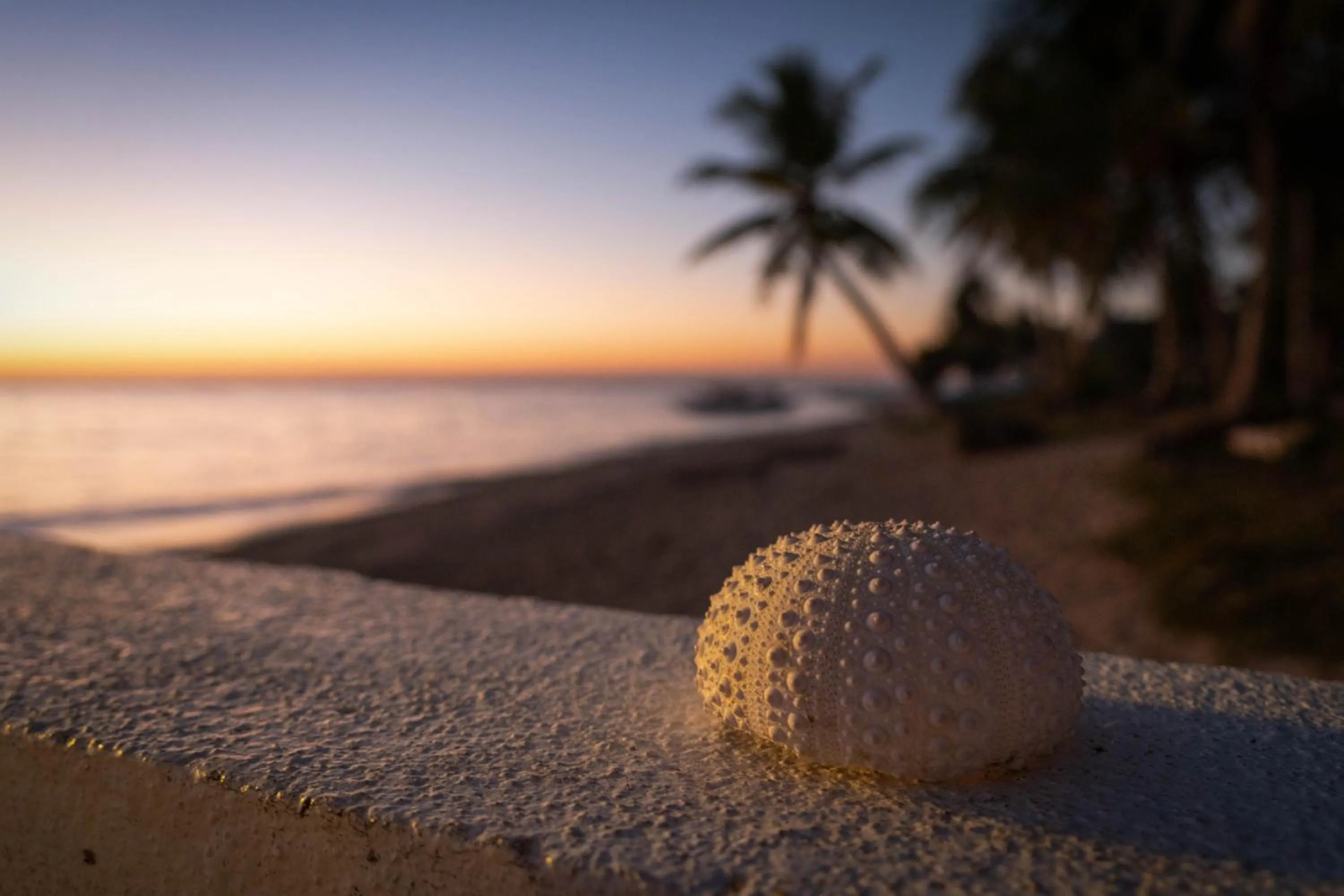 Beach in Lanas Beach Resort Carabao Island