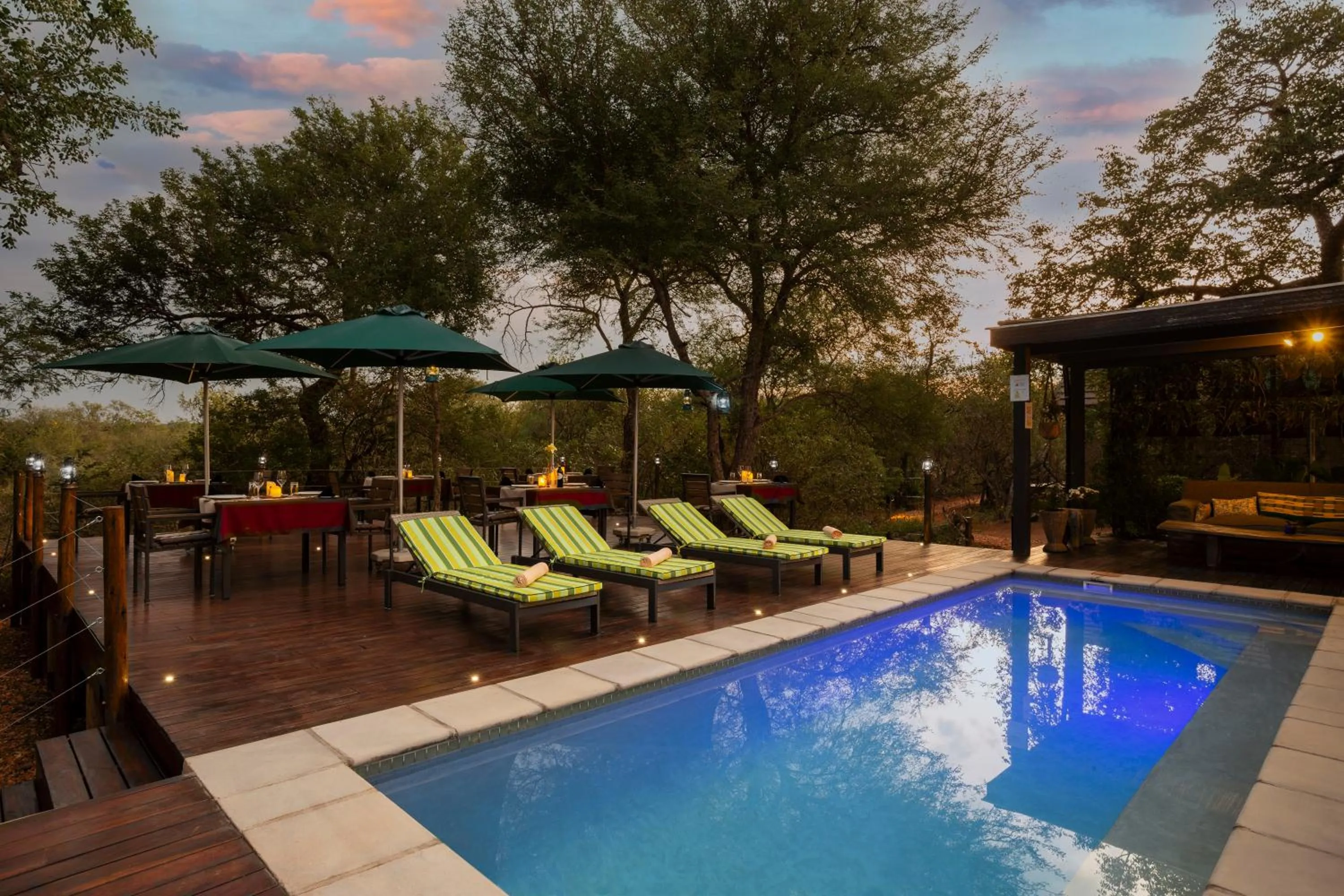 Swimming pool in Moya Safari Villa