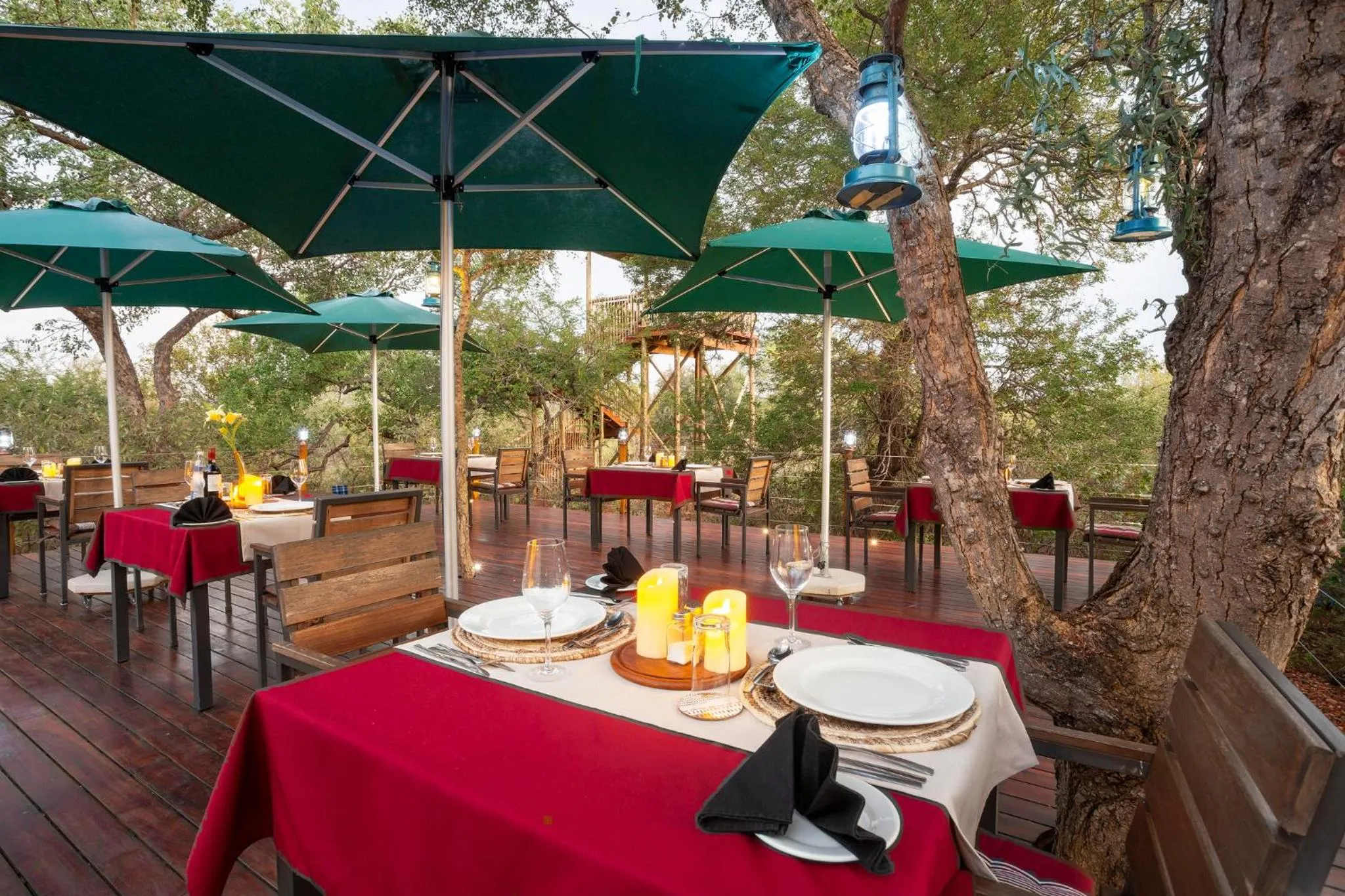 Restaurant/places to eat in Moya Safari Villa