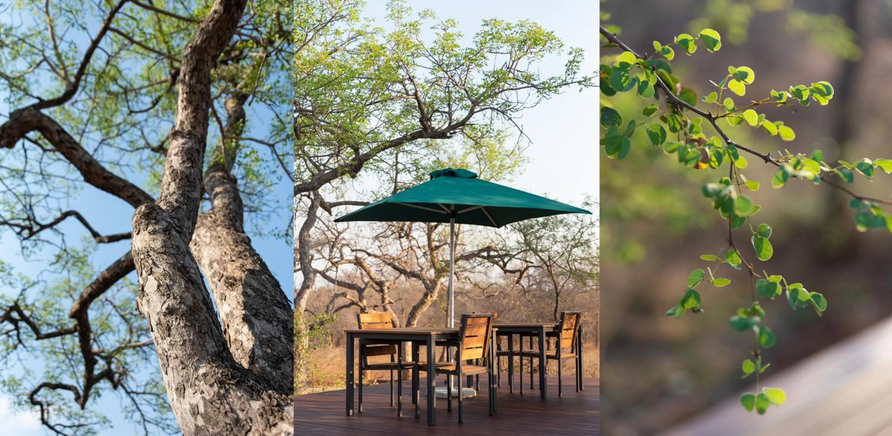 Garden in Moya Safari Villa