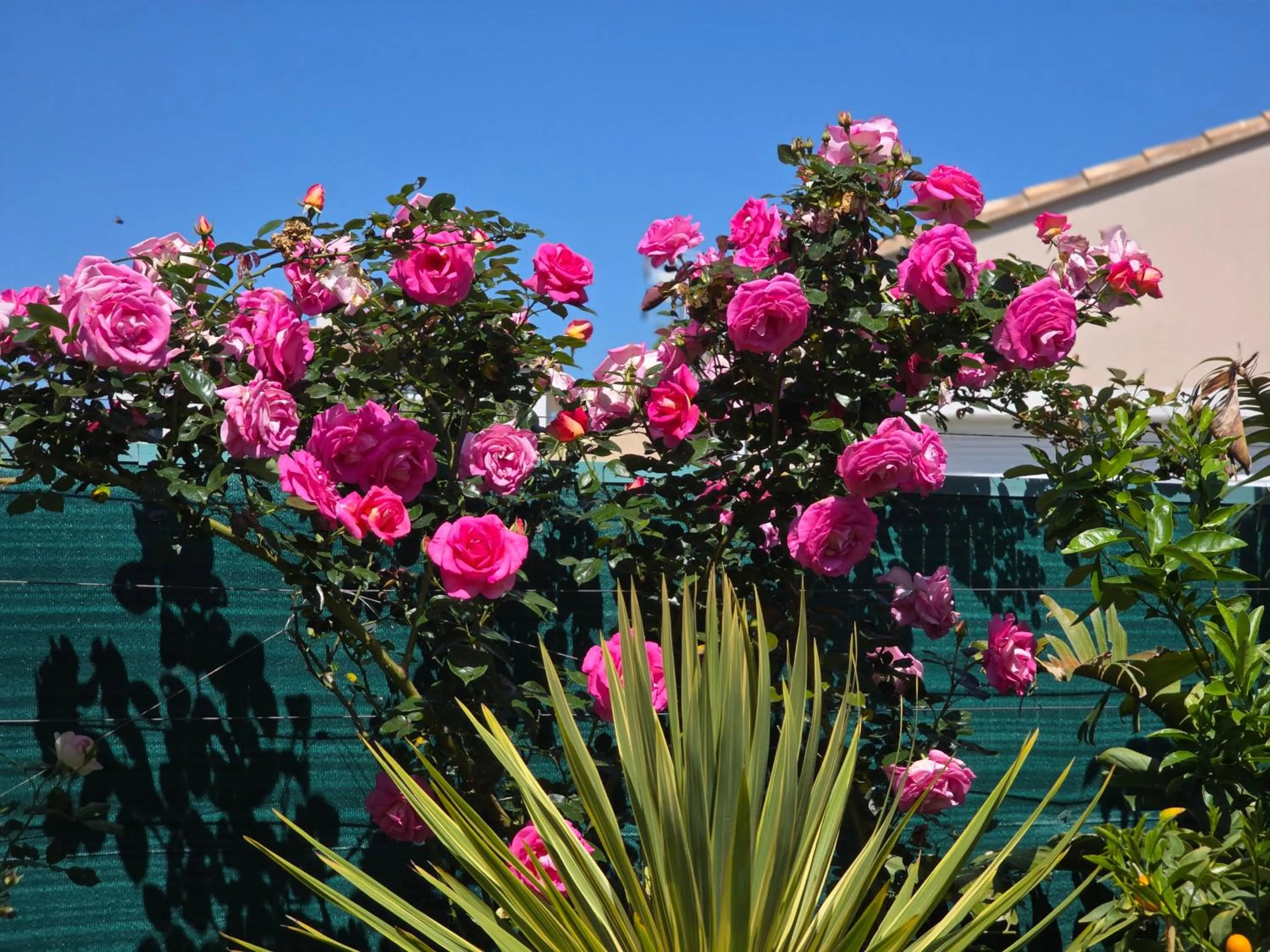Chambre d'hôtes dans Villa Diane