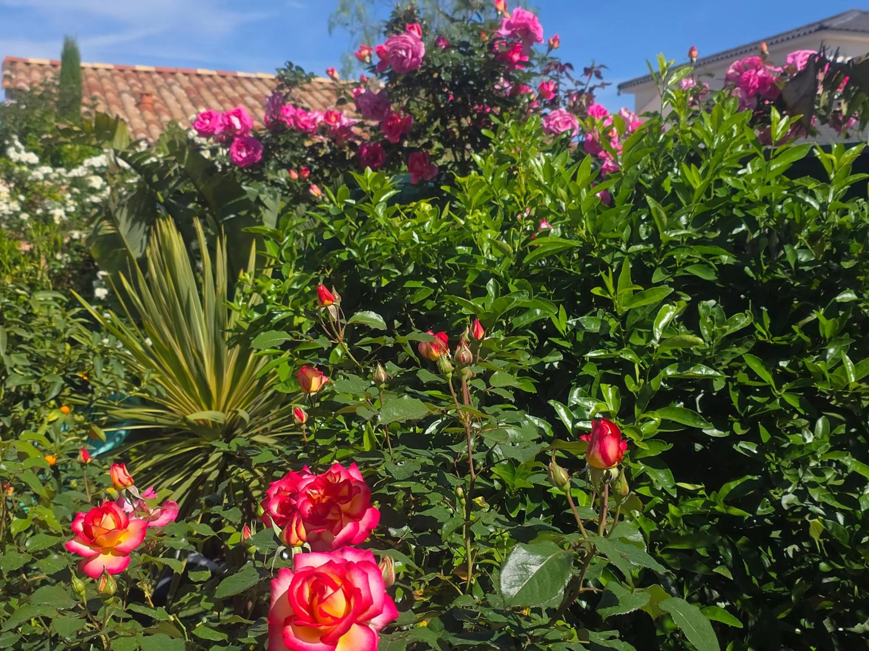 Chambre d'hôtes dans Villa Diane