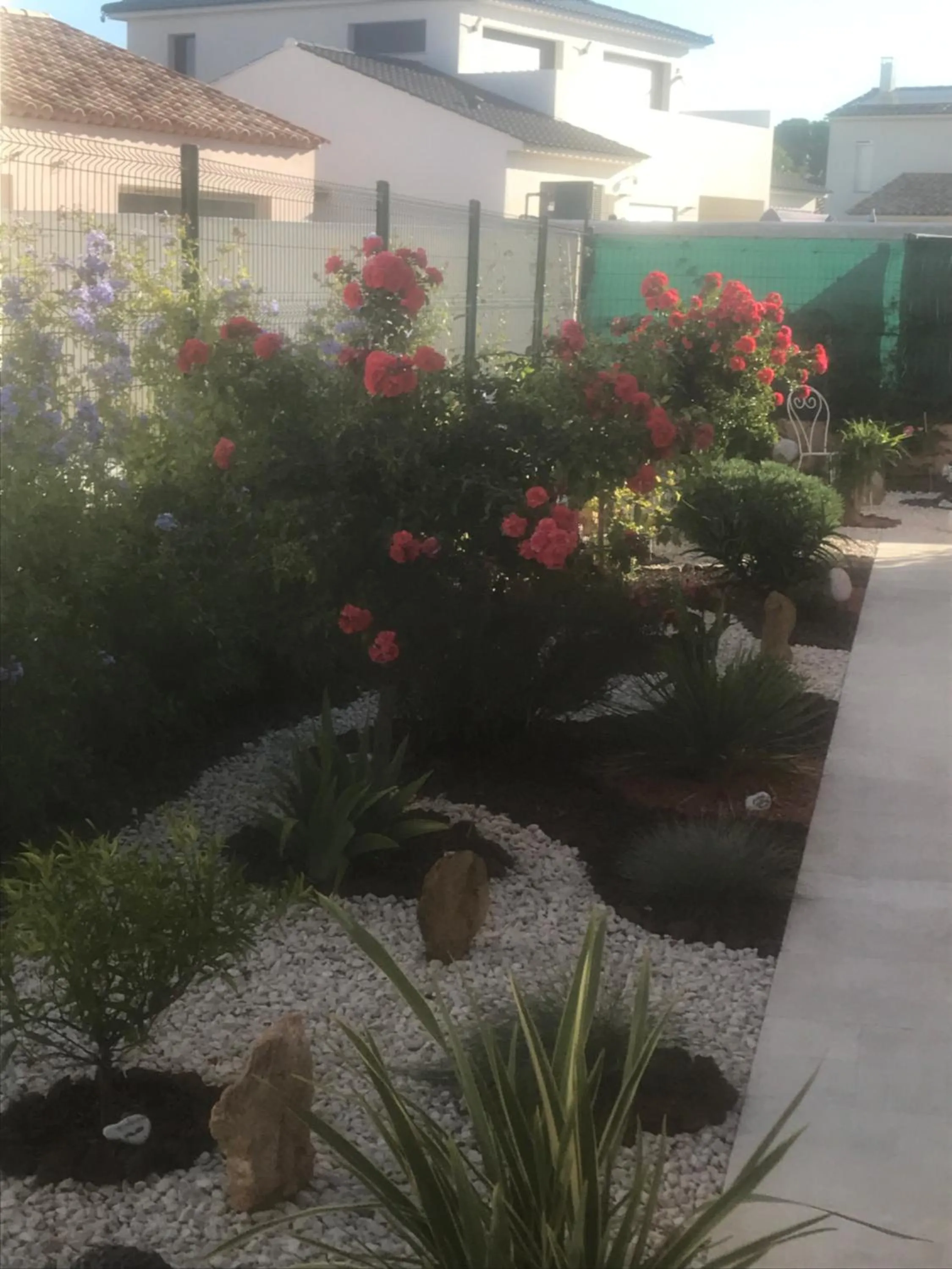 Chambre d'hôtes dans Villa Diane