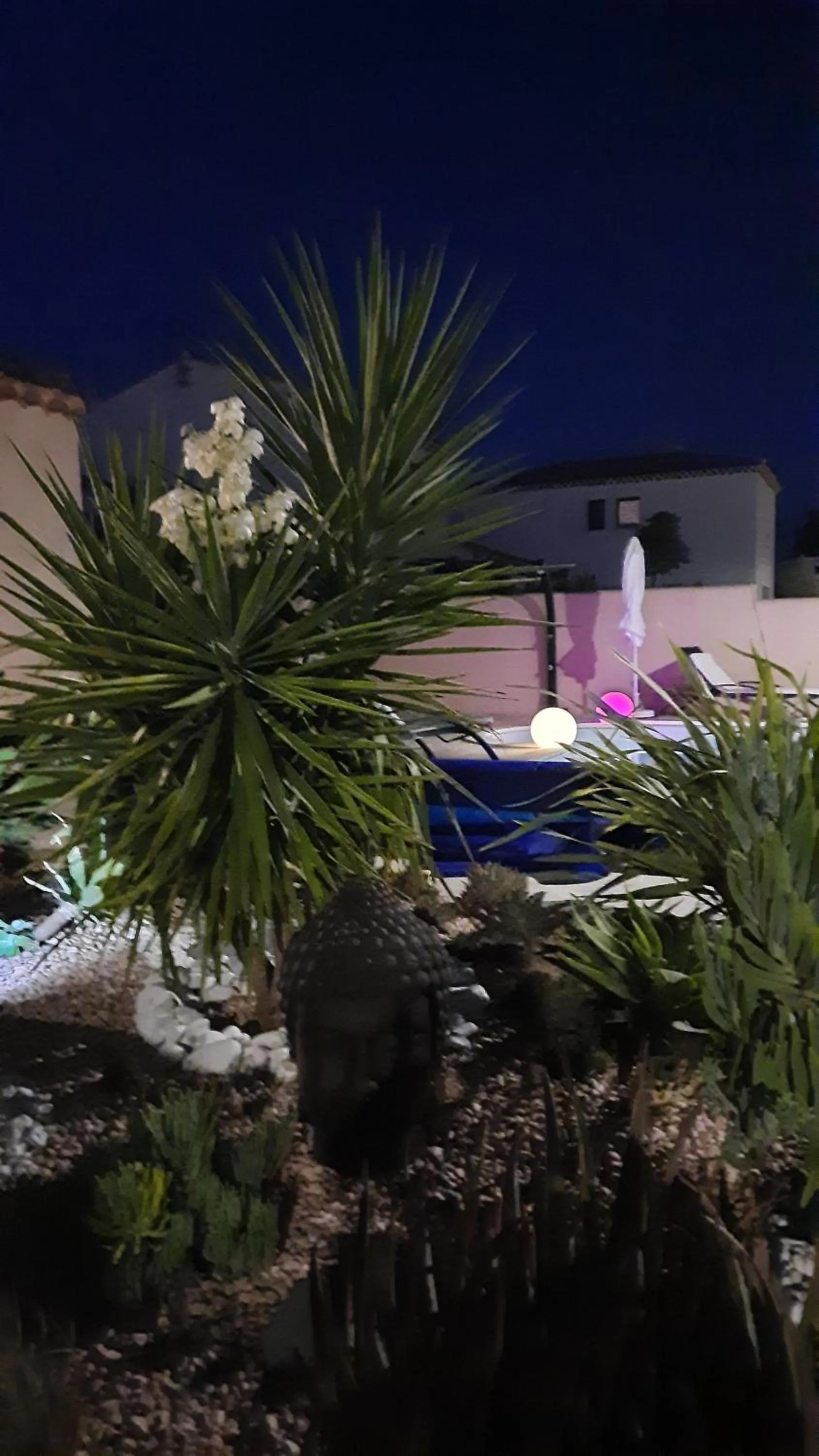 Chambre d'hôtes dans Villa Diane