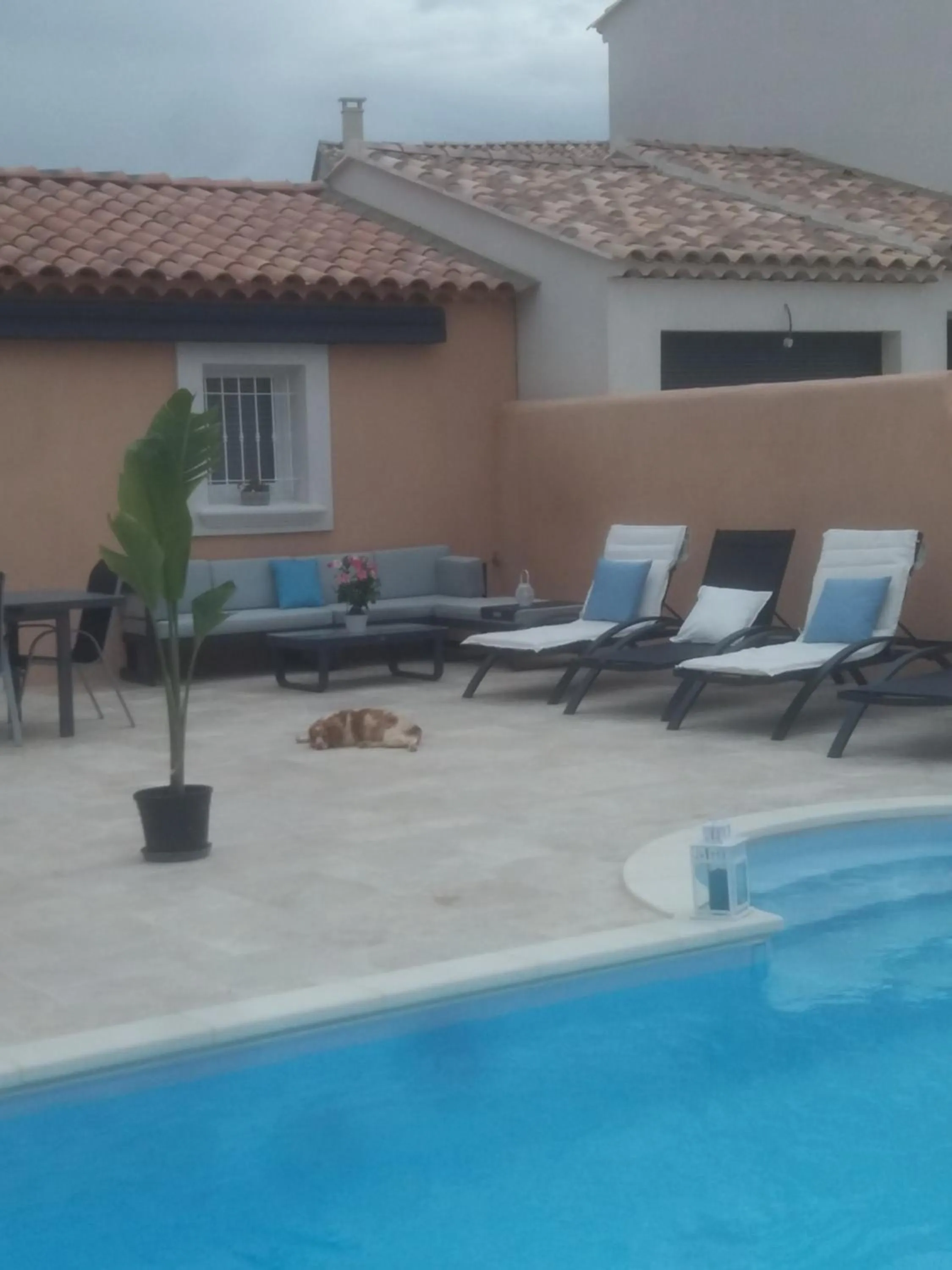 Chambre d'hôtes dans Villa Diane