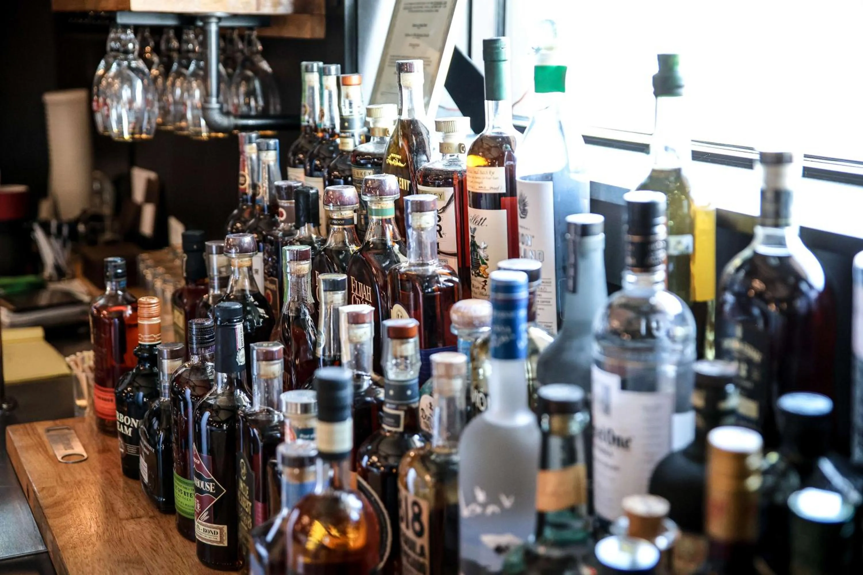 Lounge or bar in The Inn At Tree City, BW Signature Collection