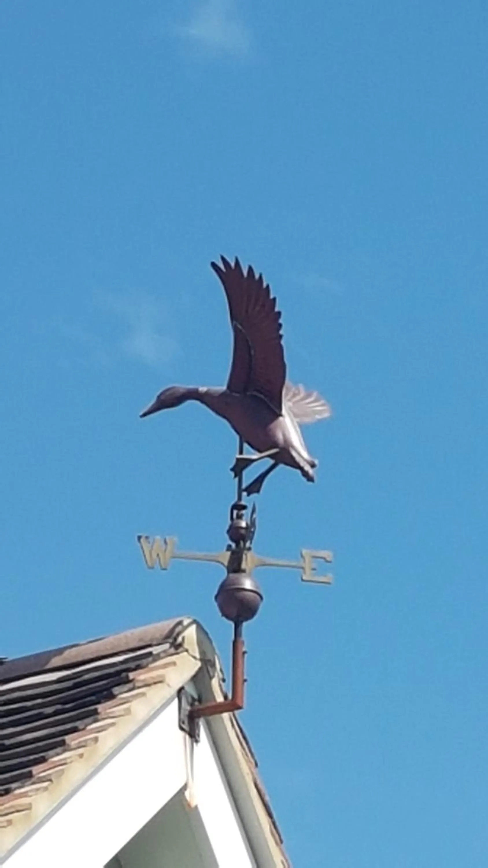 Property building in Spring Paddocks B&B