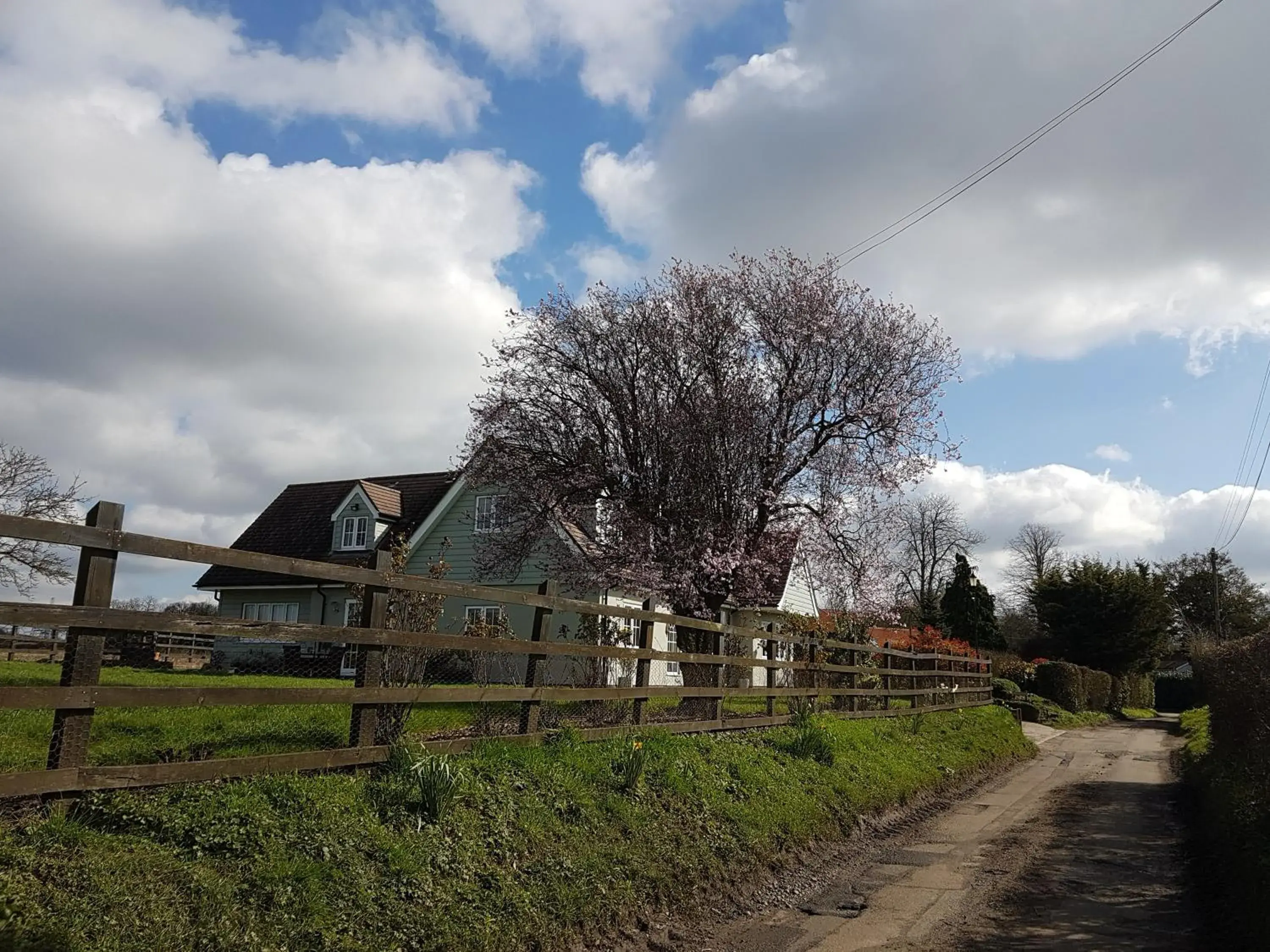 Double or Twin Room with Private Bathroom - single occupancy in Spring Paddocks B&B Double or Twin Room with Private Bathroom - single occupancy in Spring Paddocks B&B